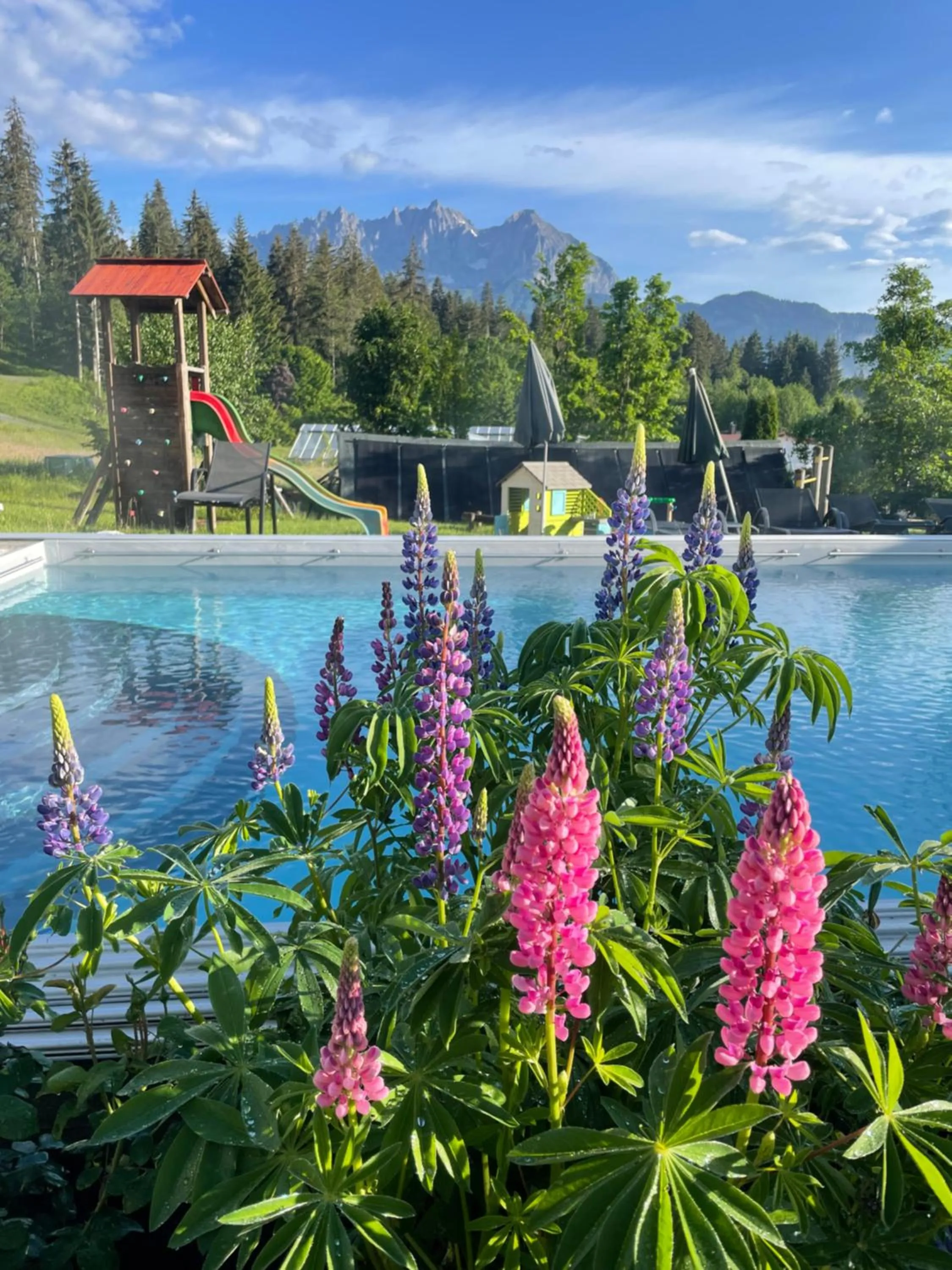 Garden in Gartenhotel Rosenhof bei Kitzbühel