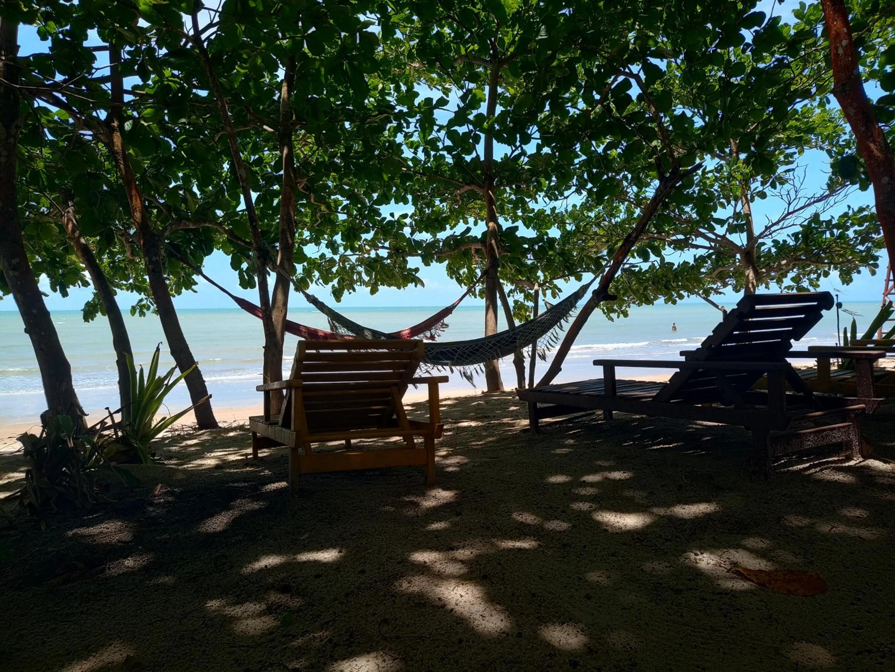 Natural landscape in Pousada ZEN Cumuruxatiba