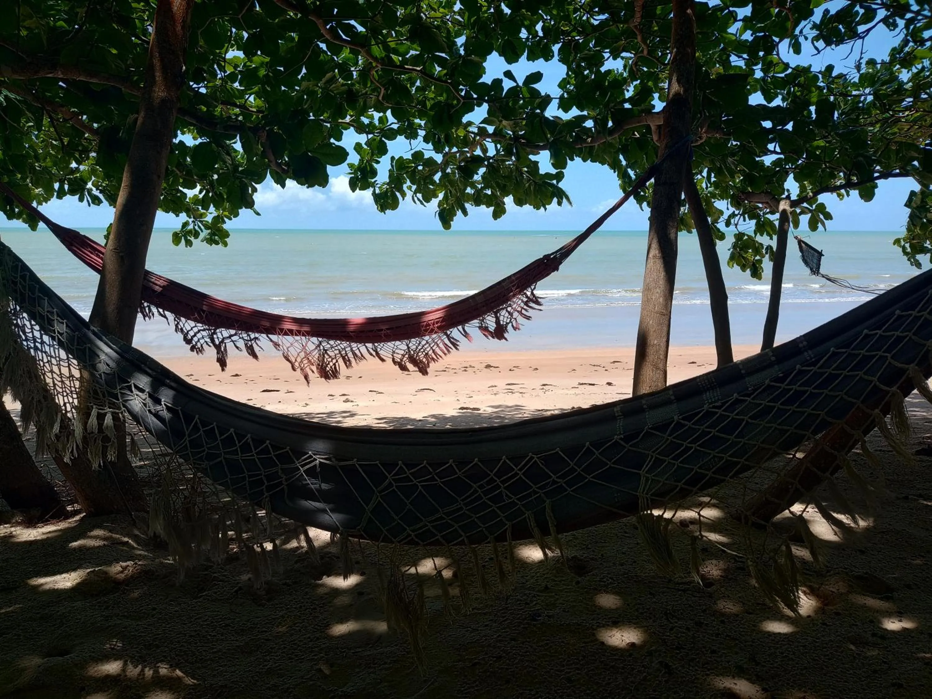Natural landscape in Pousada ZEN Cumuruxatiba