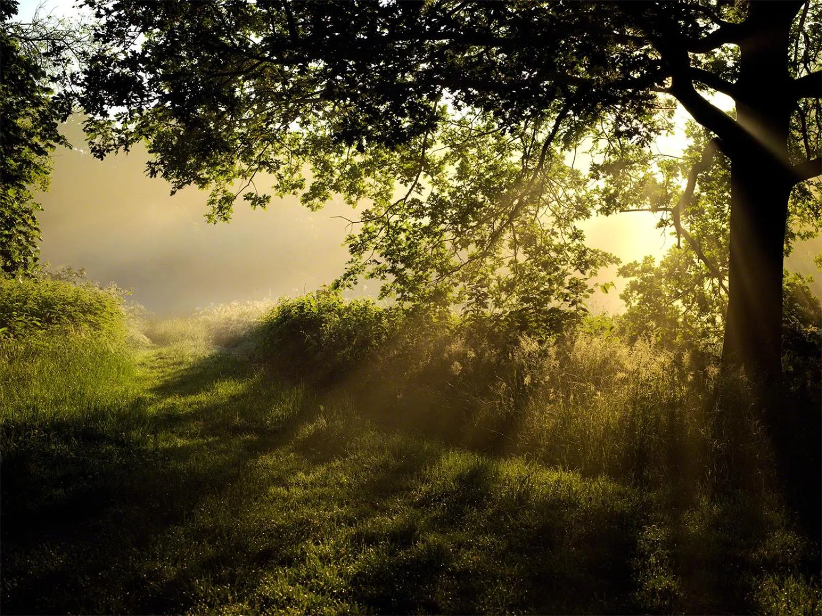 Staff in Parkhotel Wienburg Münster