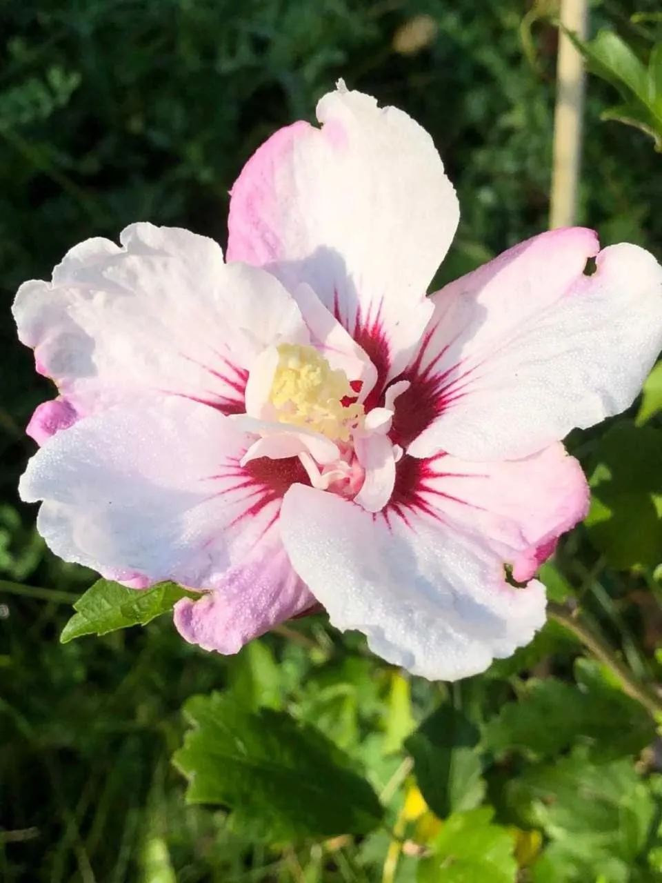 Decorative detail in Our Valley View Bed & Breakfast