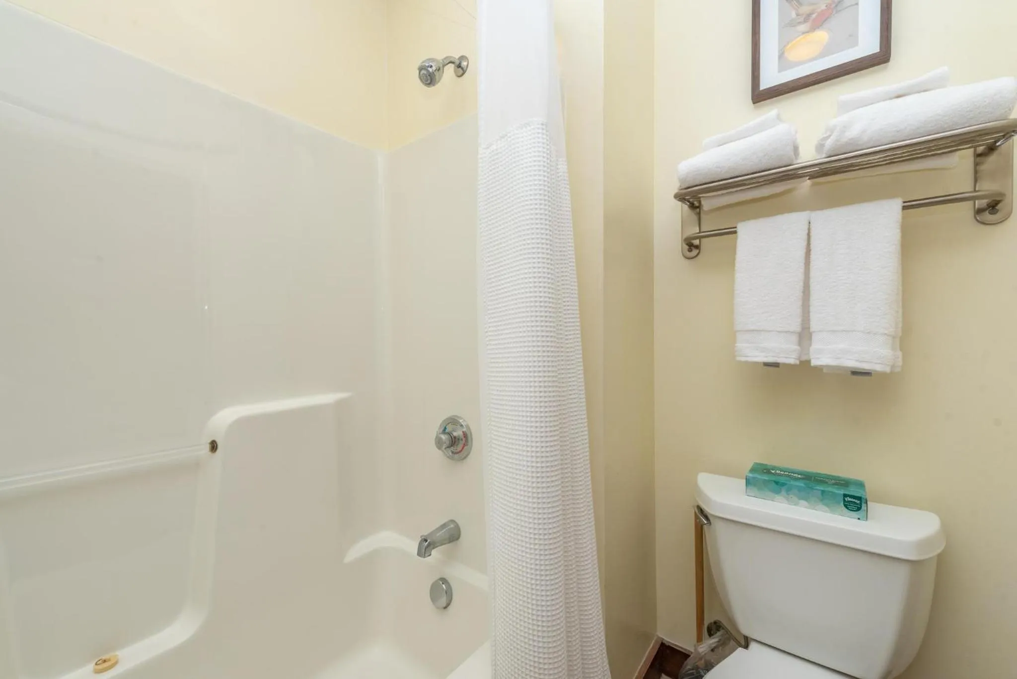 A119 Studio Lake View