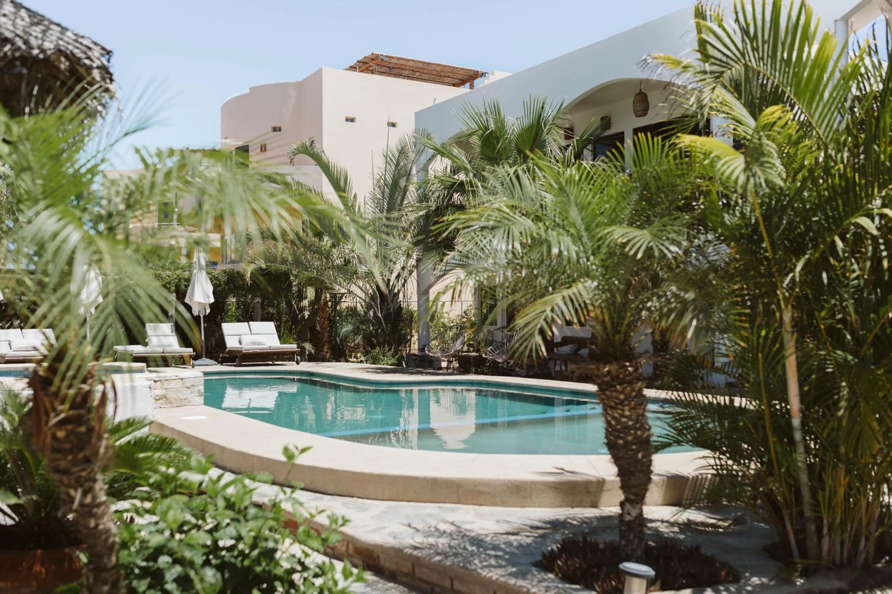 Garden in Olas de Cerritos