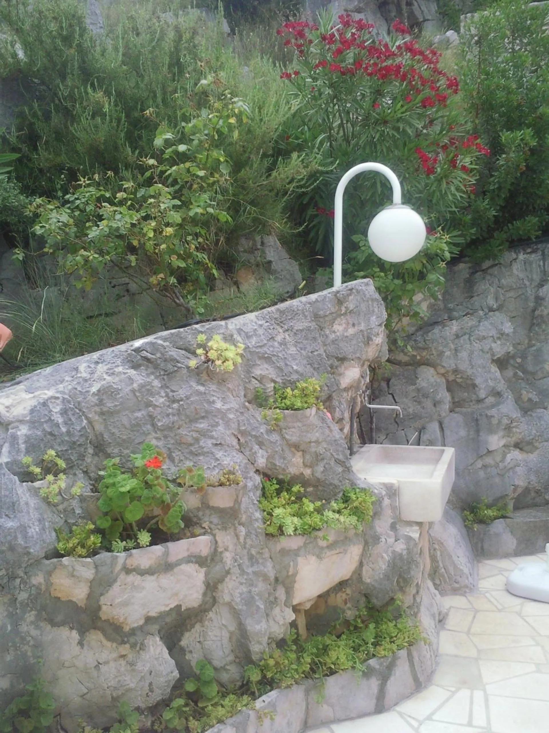 Garden in Apartments Villa Sonia & Teo Hvar