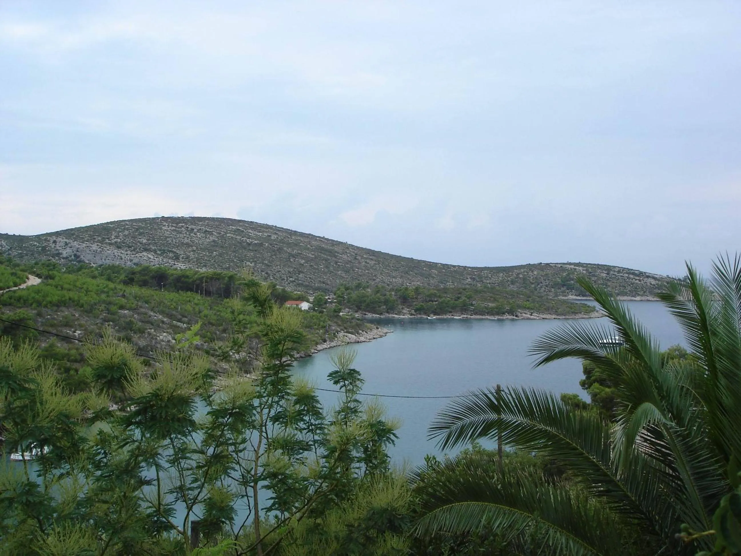 Natural landscape in Apartments Villa Sonia & Teo Hvar