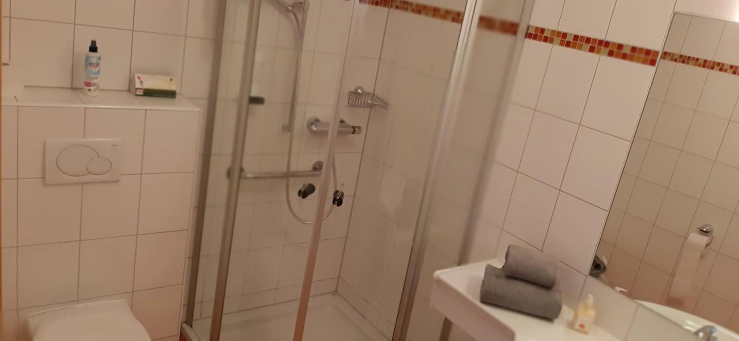 Shower in Landhotel-Restaurant Willingshofer