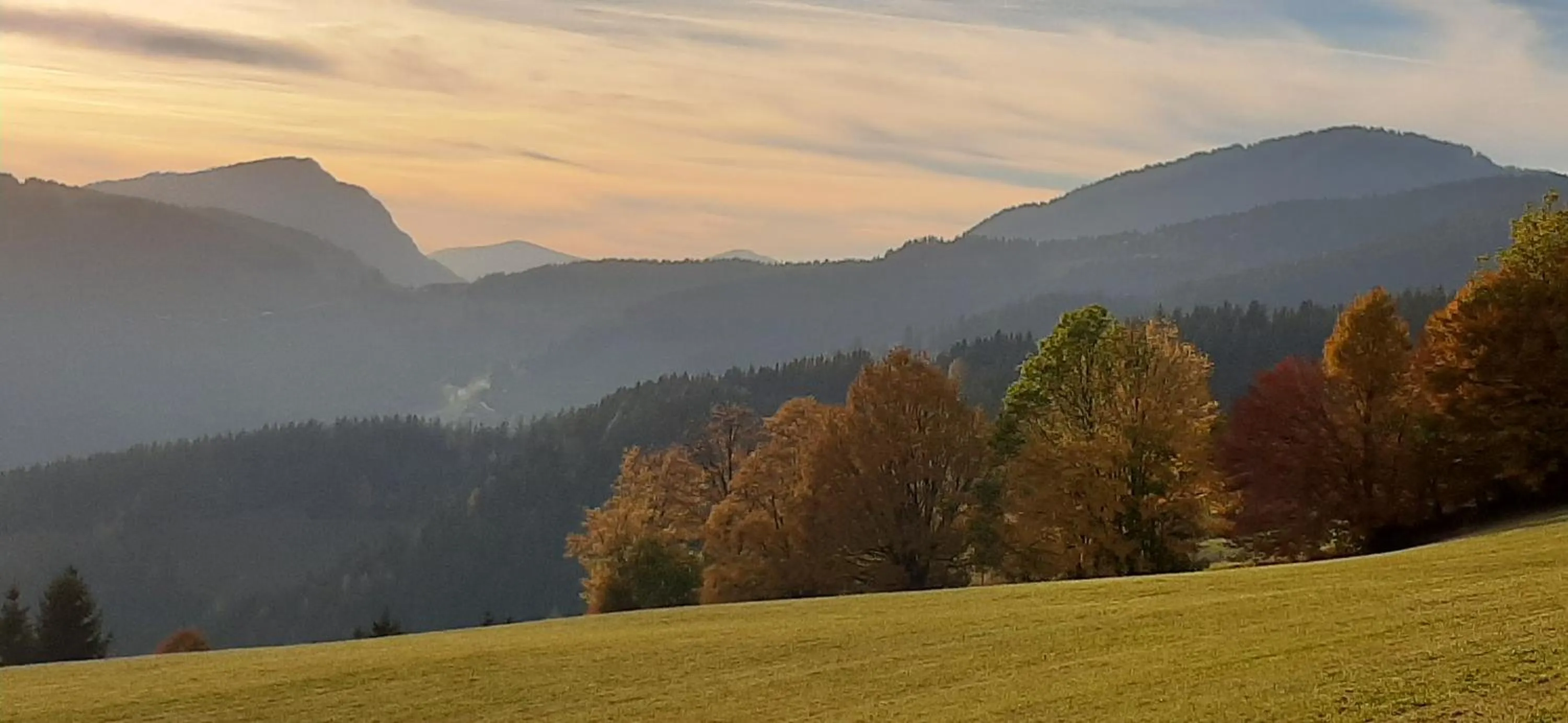 Staff in Landhotel-Restaurant Willingshofer