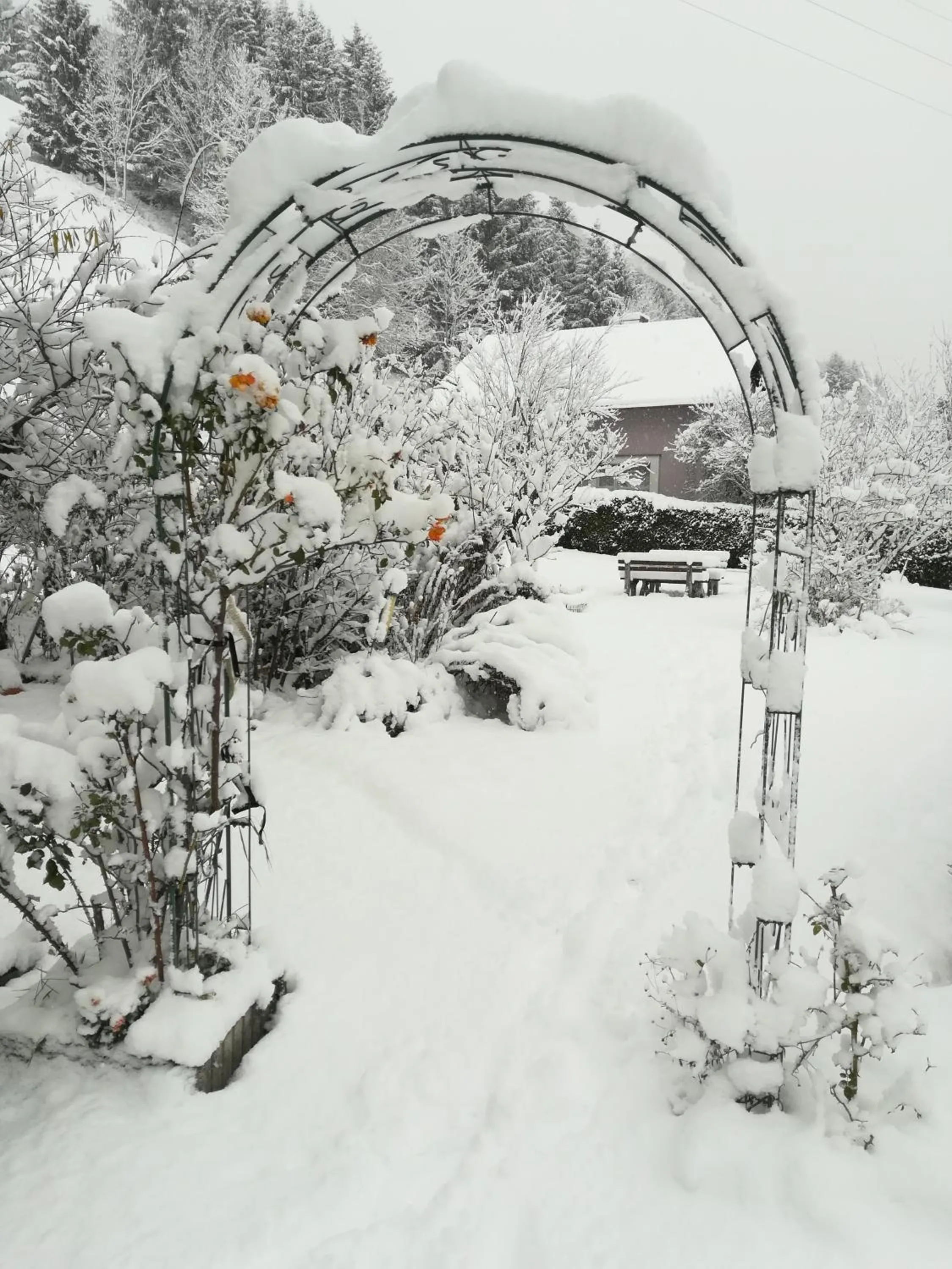 Winter in Landhotel-Restaurant Willingshofer