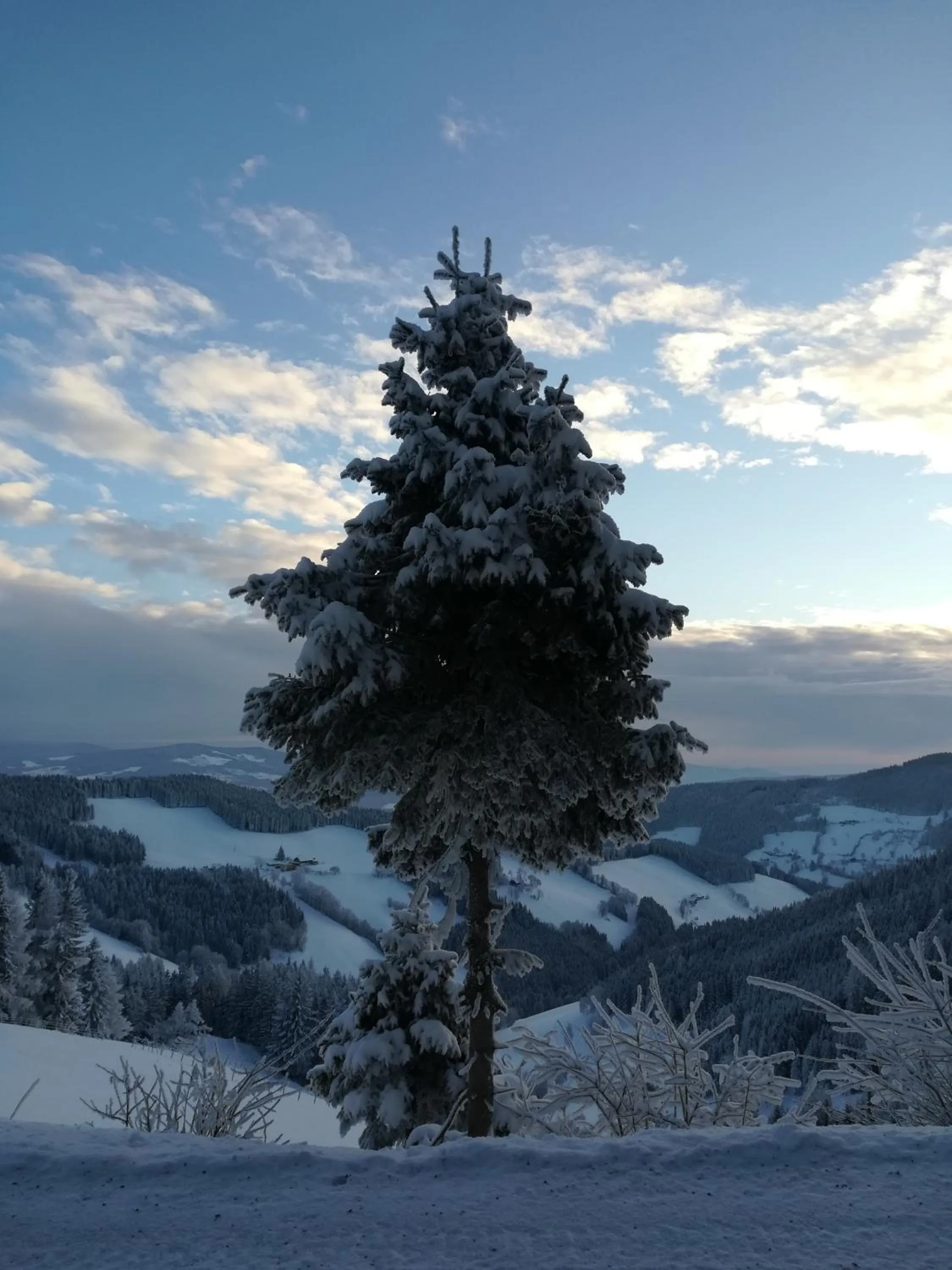 Natural landscape in Landhotel-Restaurant Willingshofer