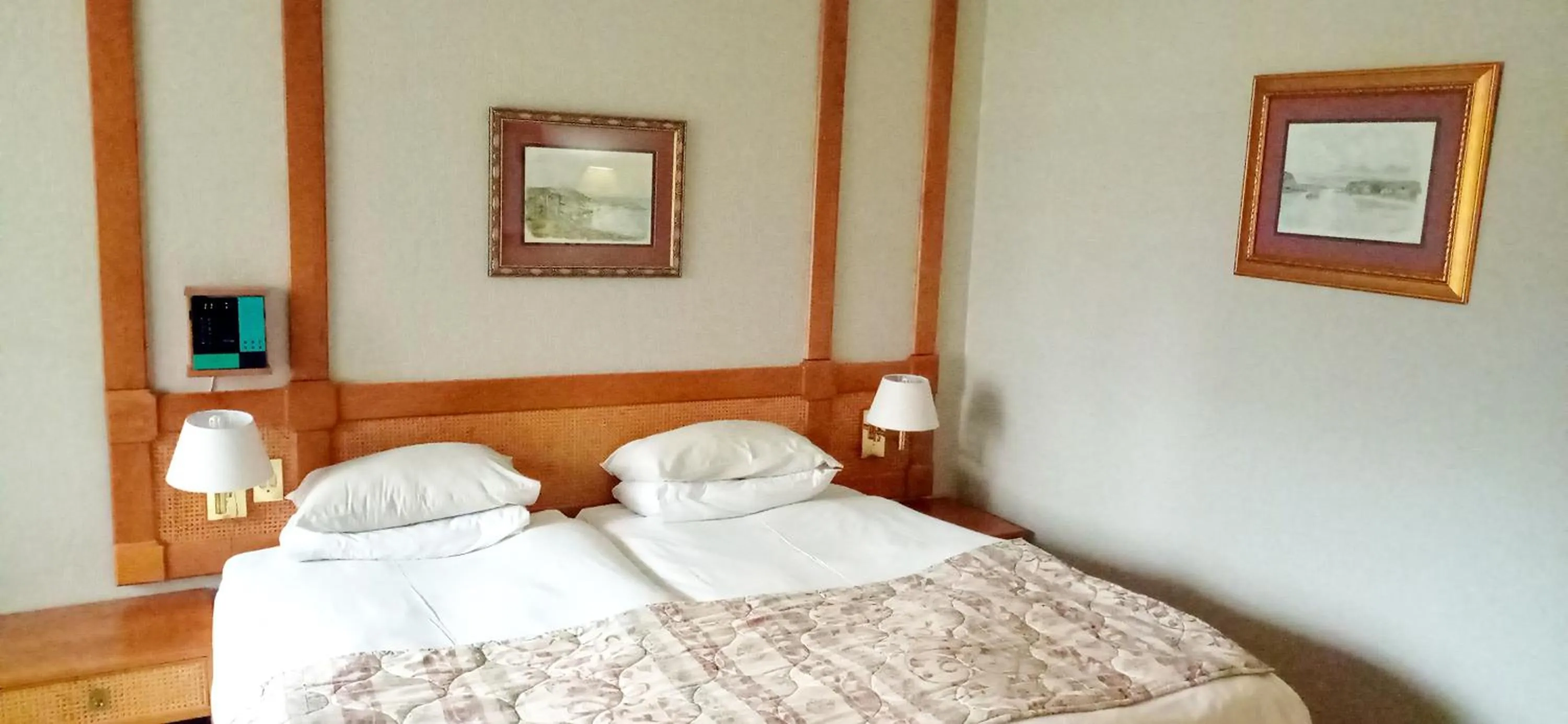 Photo of the whole room in Sparkling Water Hotels & Spa