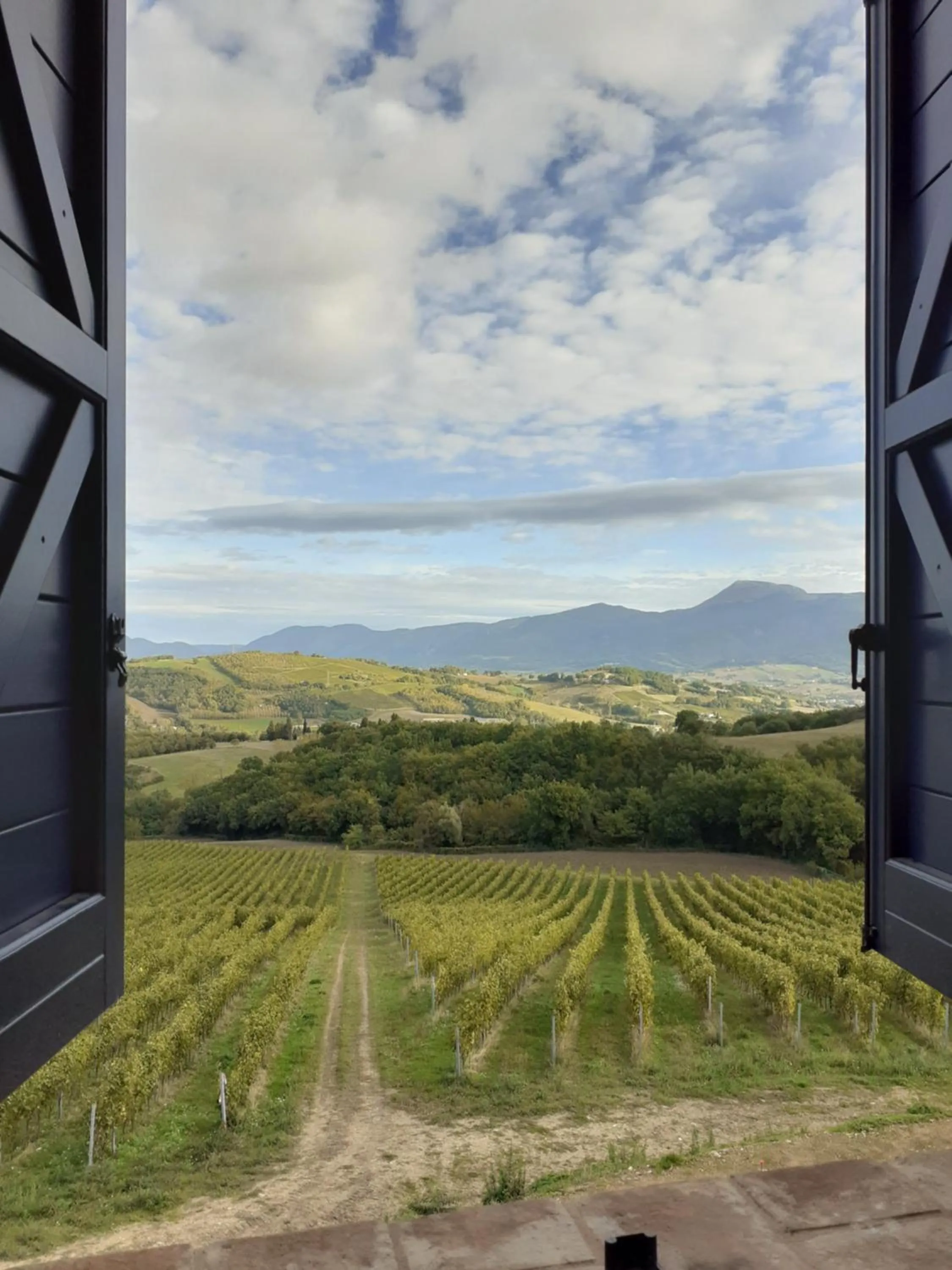 Property building in Tenuta Grimaldi Wine Resort