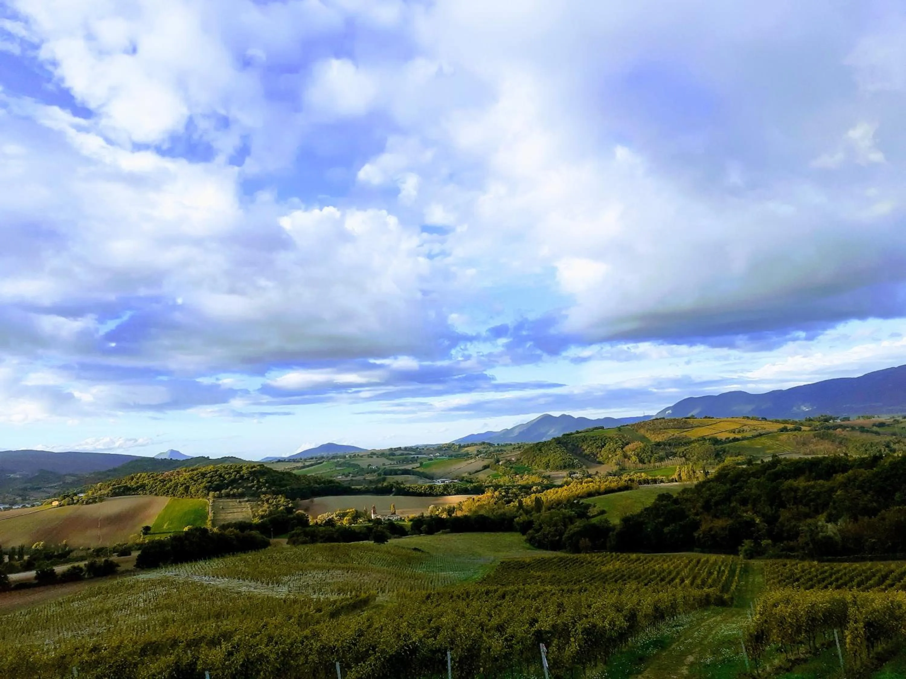 Natural landscape in Tenuta Grimaldi Wine Resort