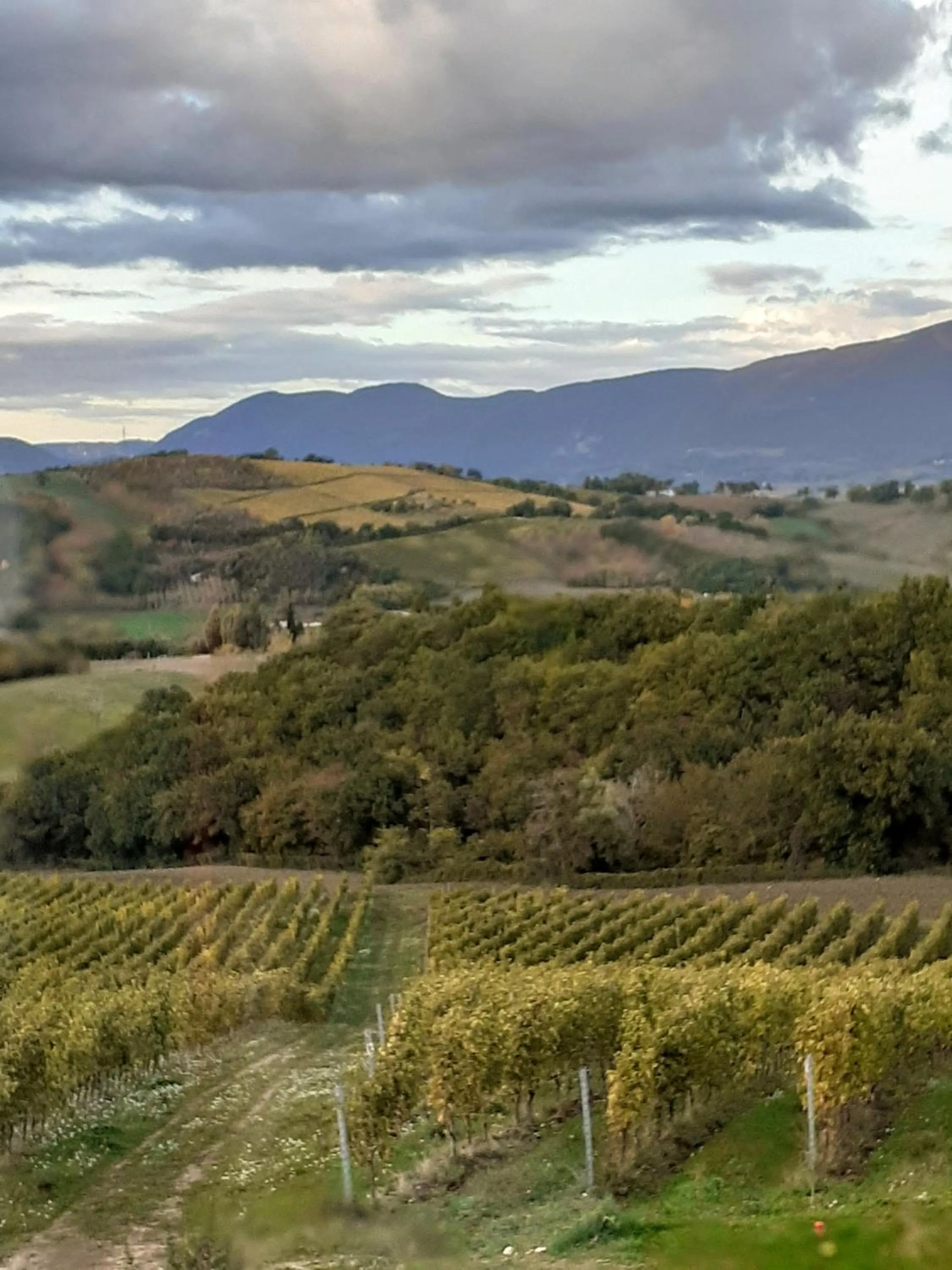 Natural landscape in Tenuta Grimaldi Wine Resort