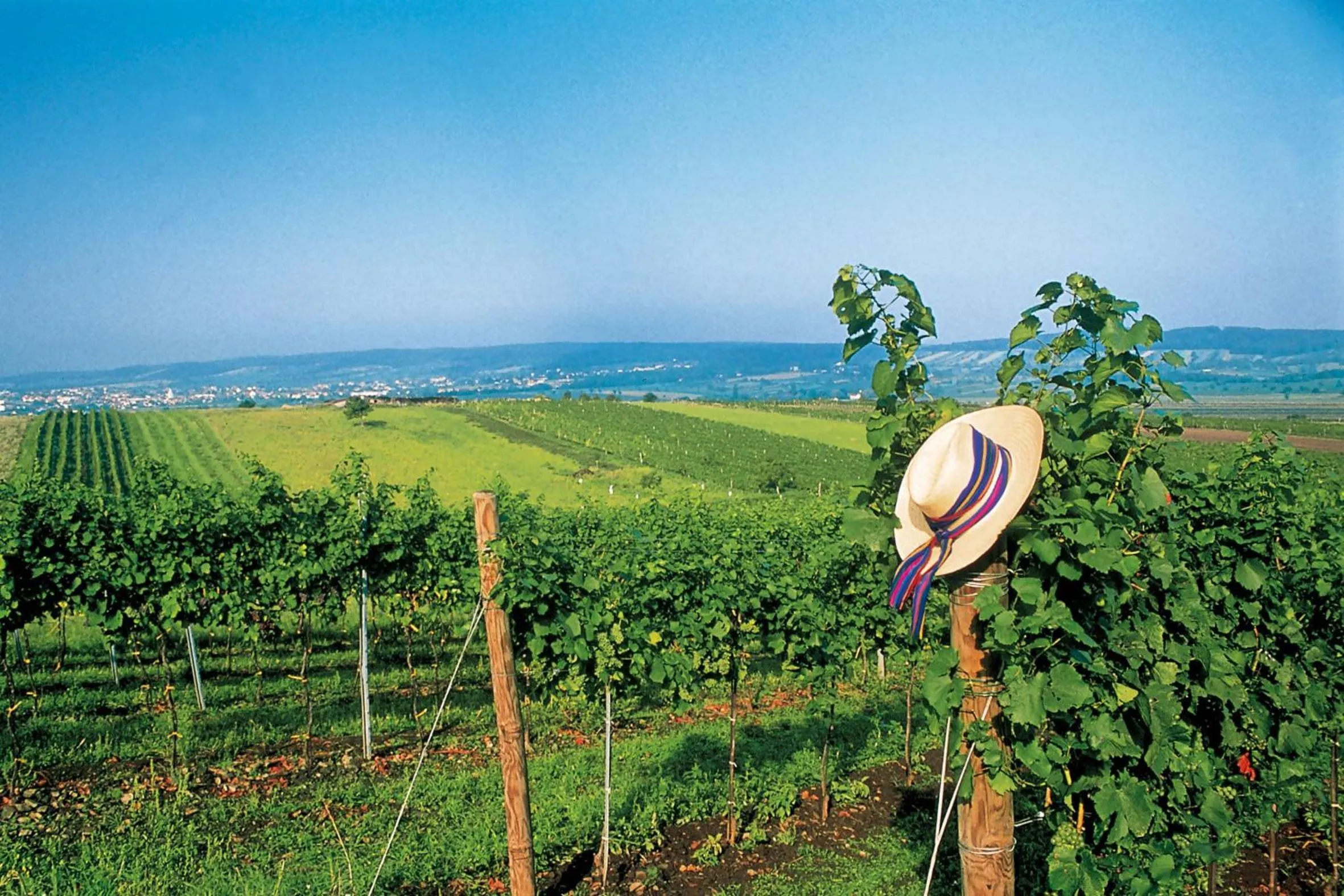 Day in Hotel Panoramahof Loipersdorf