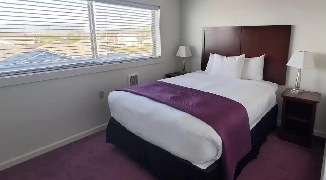 Bed in Seahorse Oceanfront Lodge