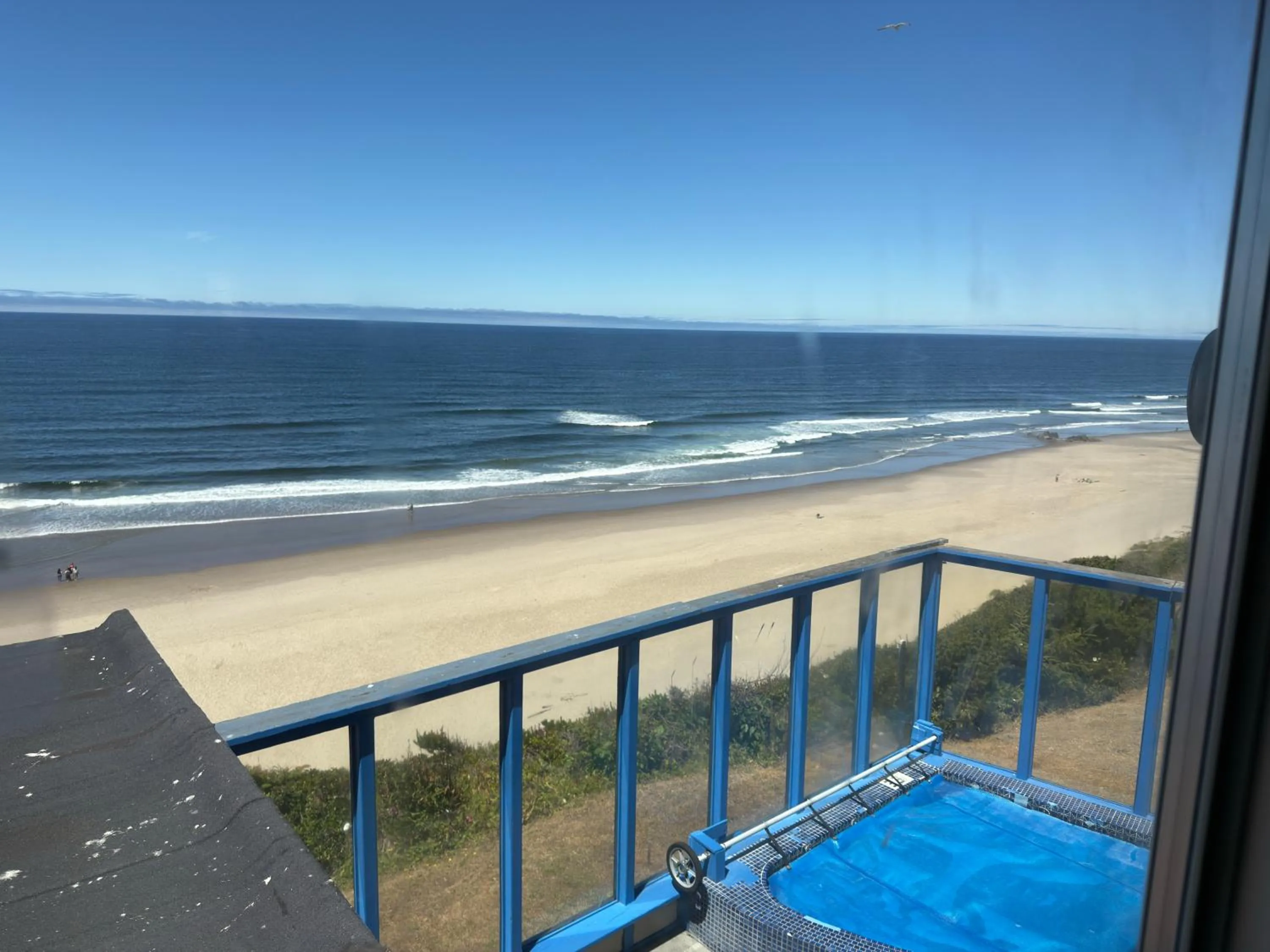 Natural landscape in Seahorse Oceanfront Lodge
