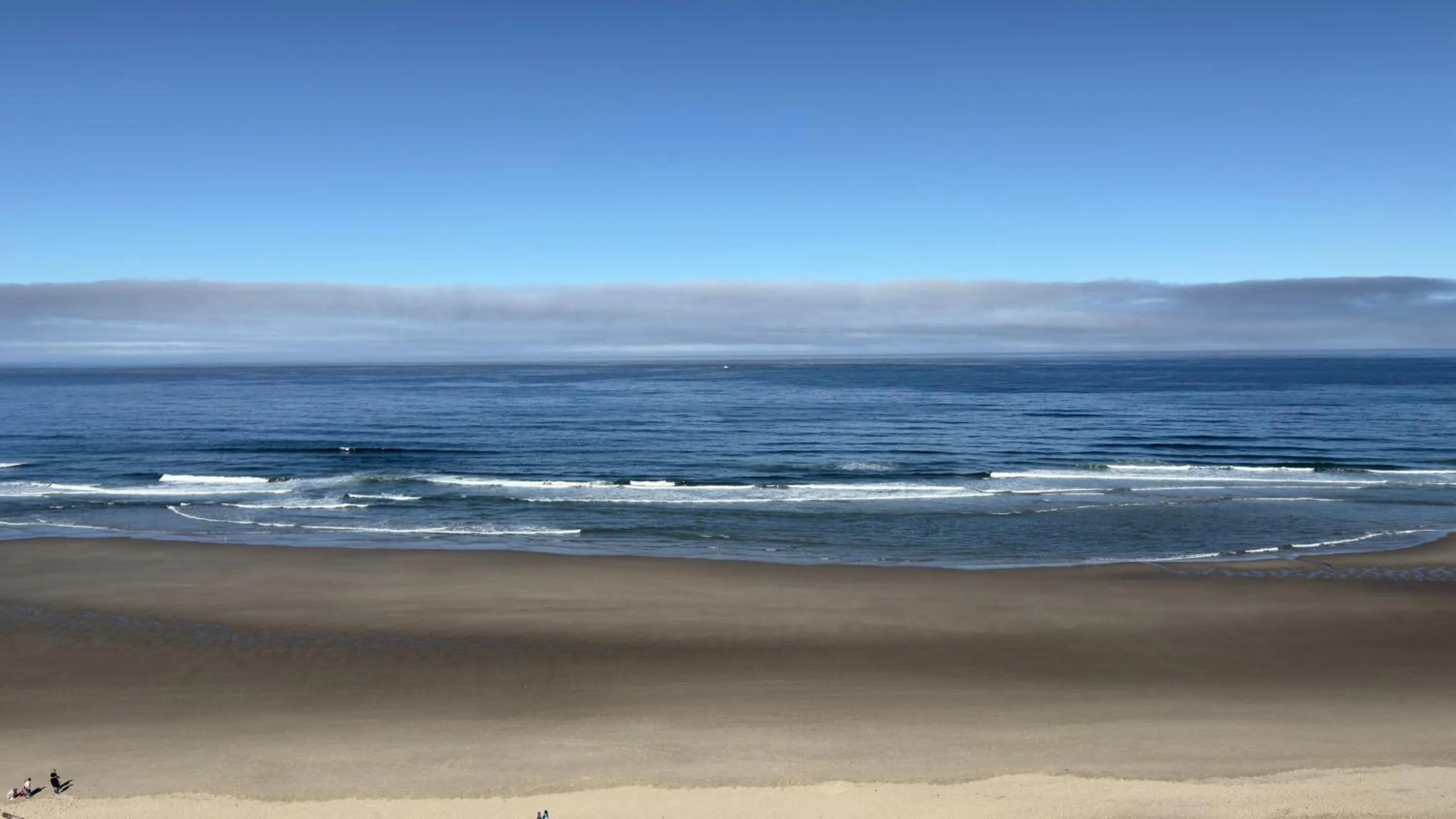 View (from property/room) in Seahorse Oceanfront Lodge