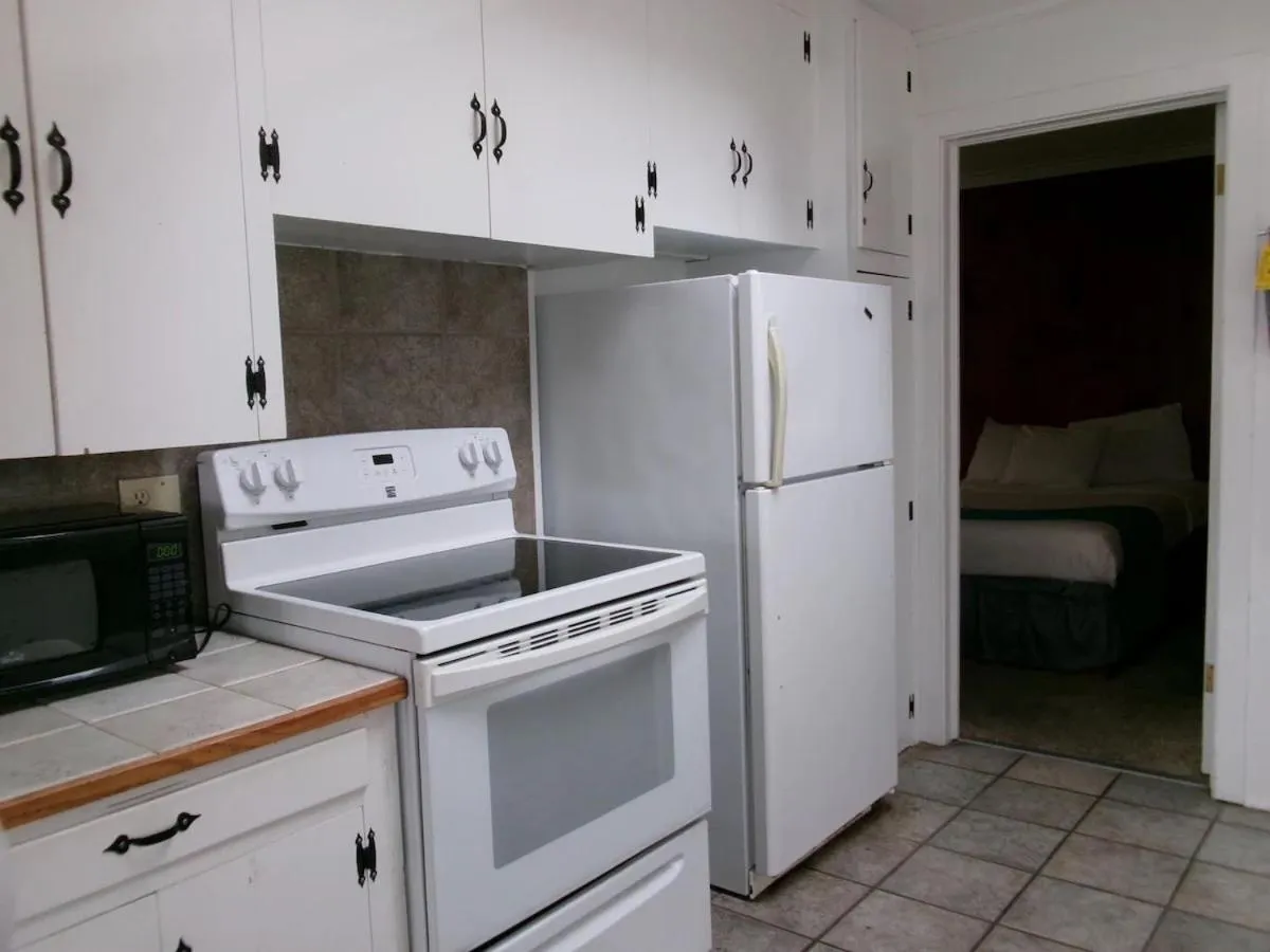 Kitchen or kitchenette in Seahorse Oceanfront Lodge
