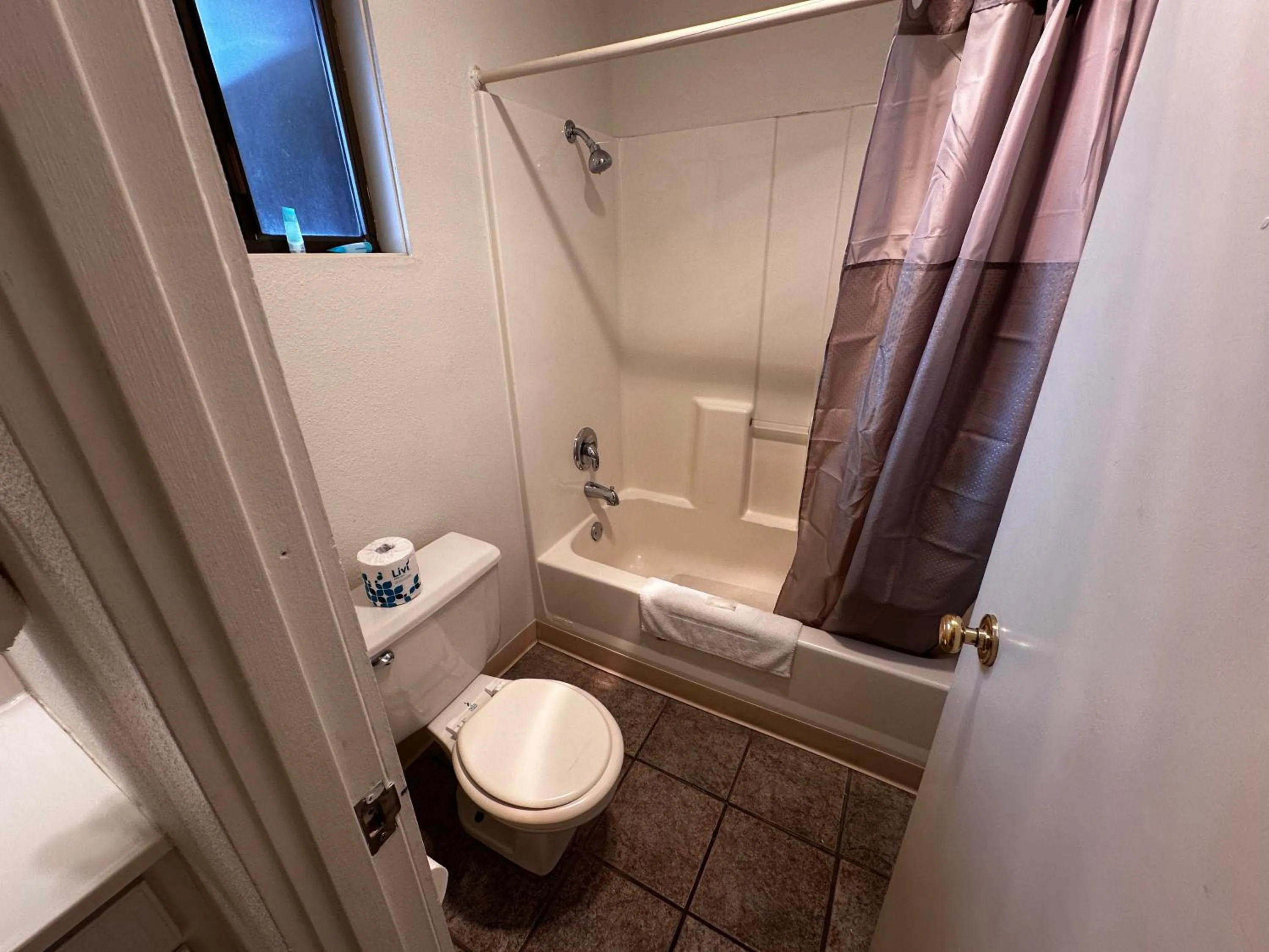 Bathroom in Seahorse Oceanfront Lodge