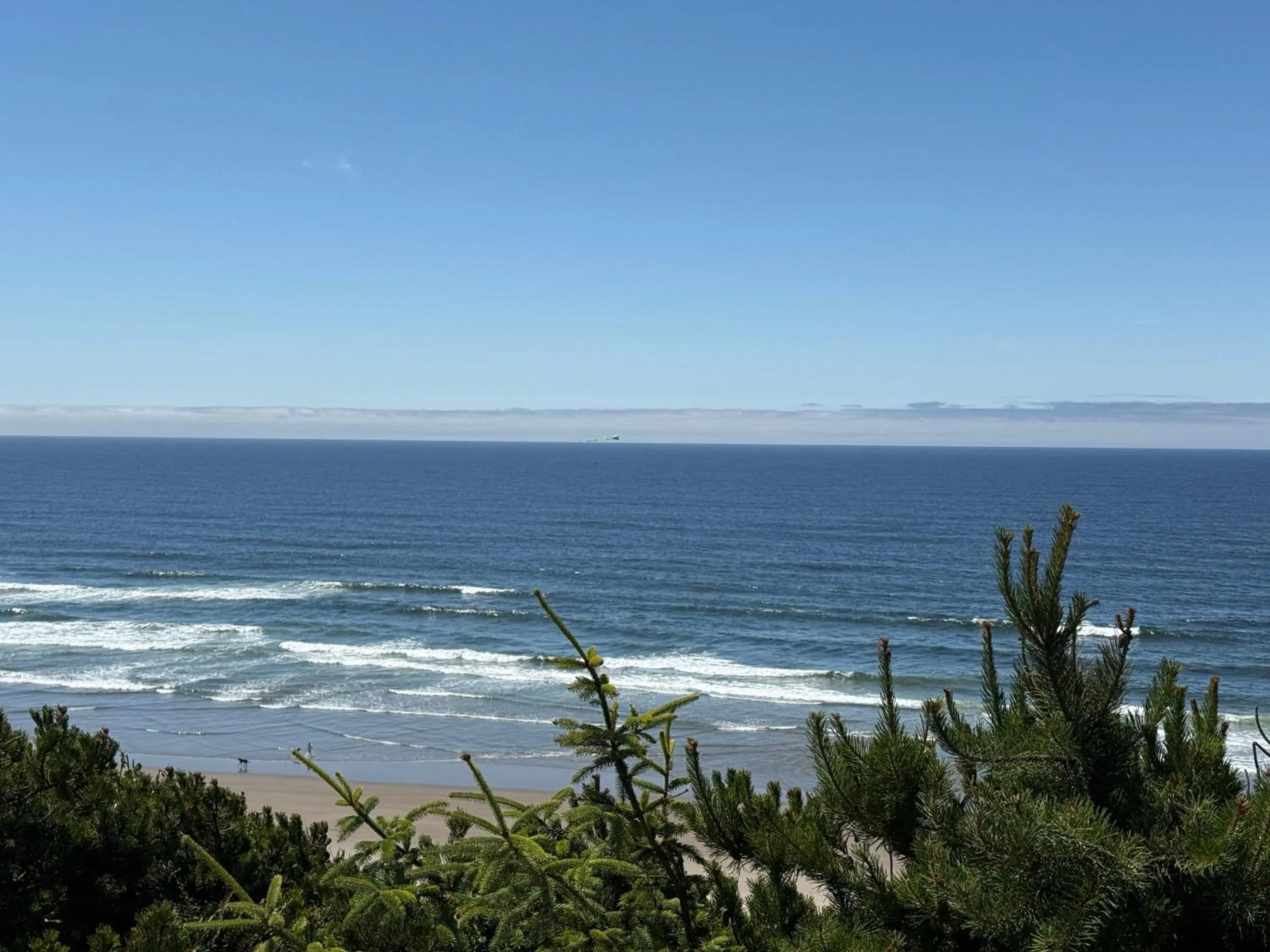 Day in Seahorse Oceanfront Lodge