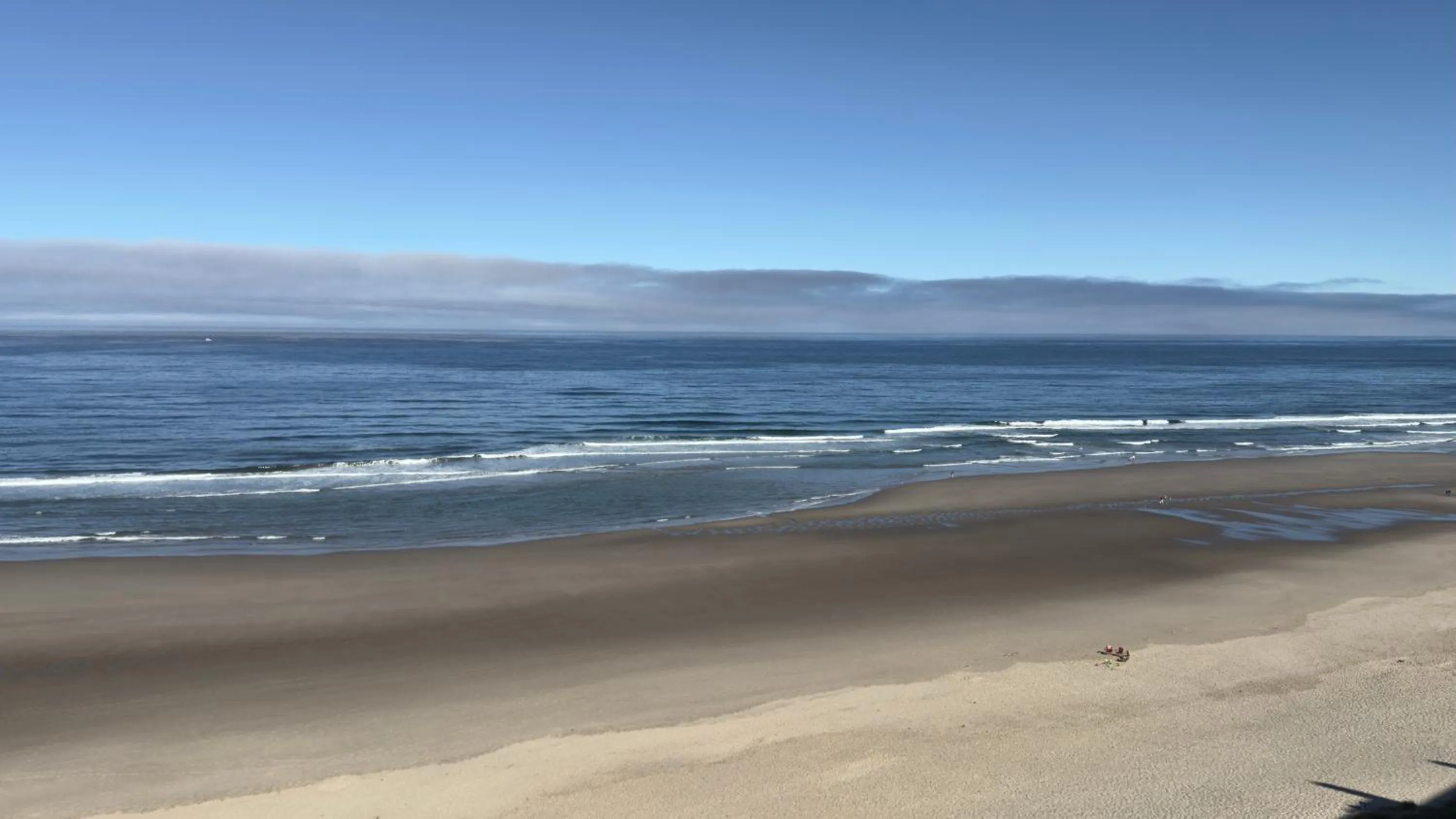 Beach in Seahorse Oceanfront Lodge