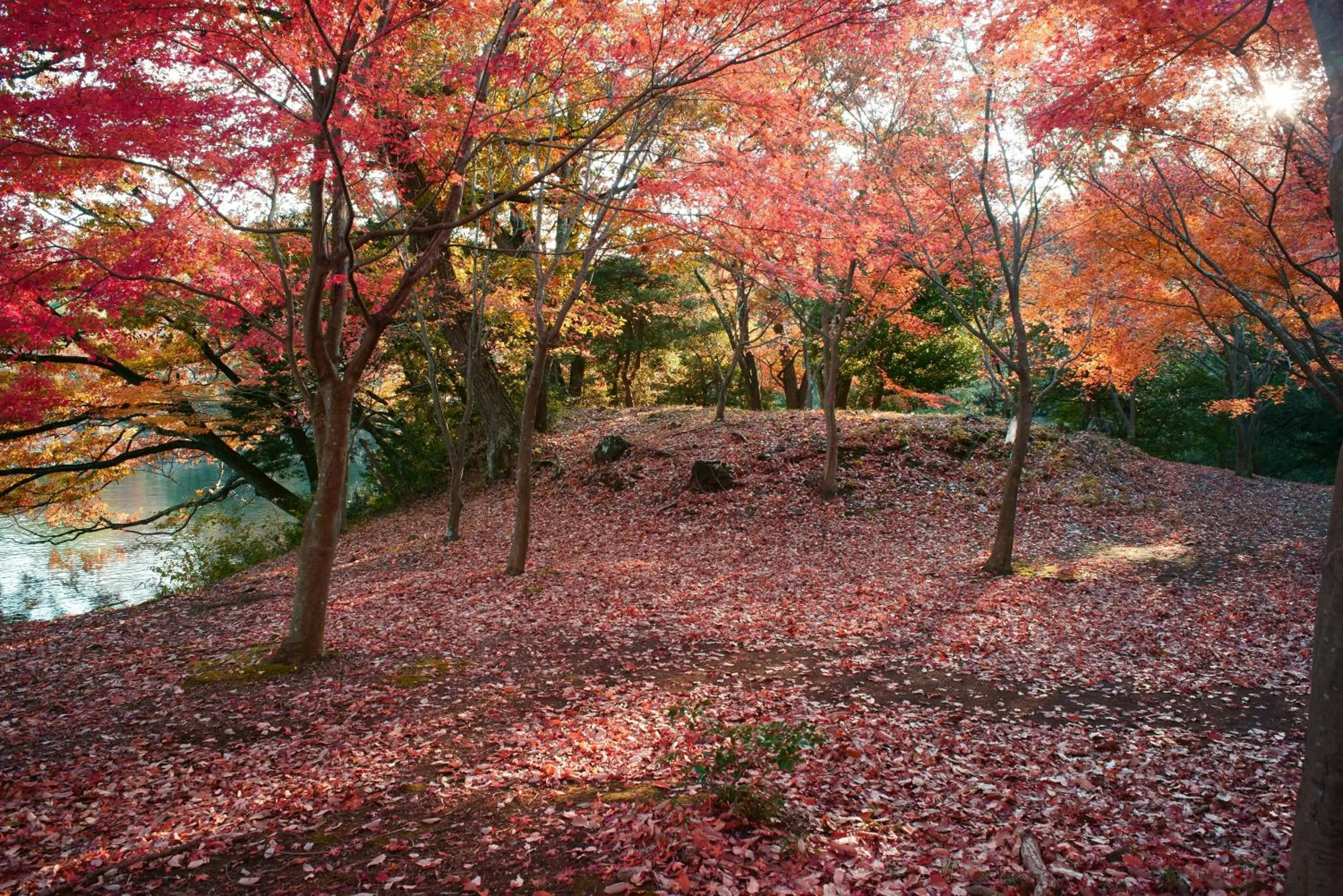 Nearby landmark in Luana Marue
