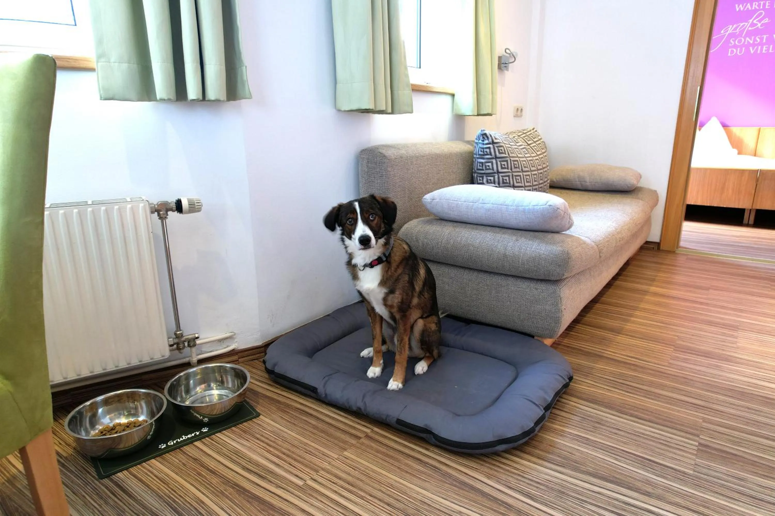 Photo of the whole room in GRUBERS, Hotel Appartments Gastein