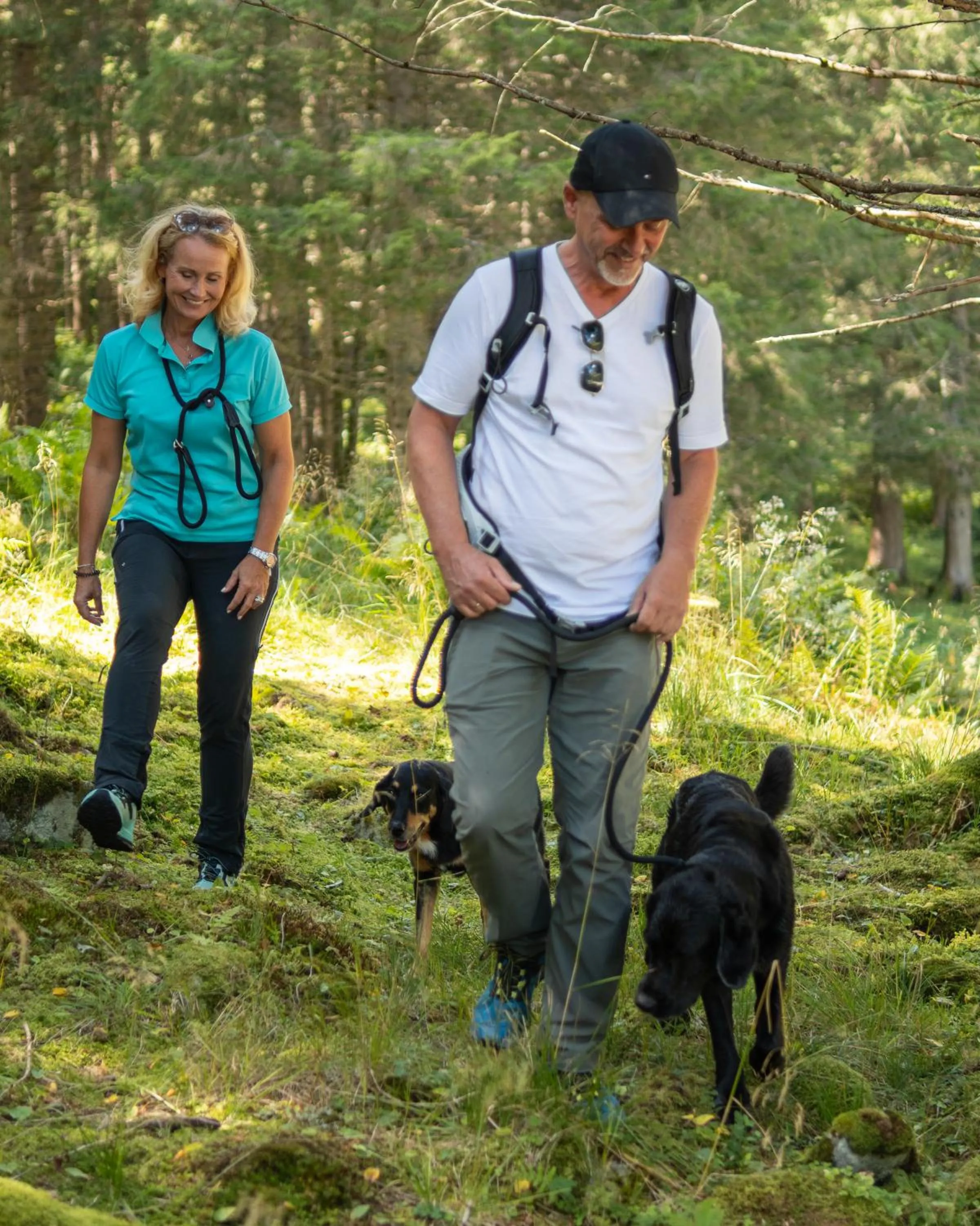 Hiking in GRUBERS, Hotel Appartments Gastein