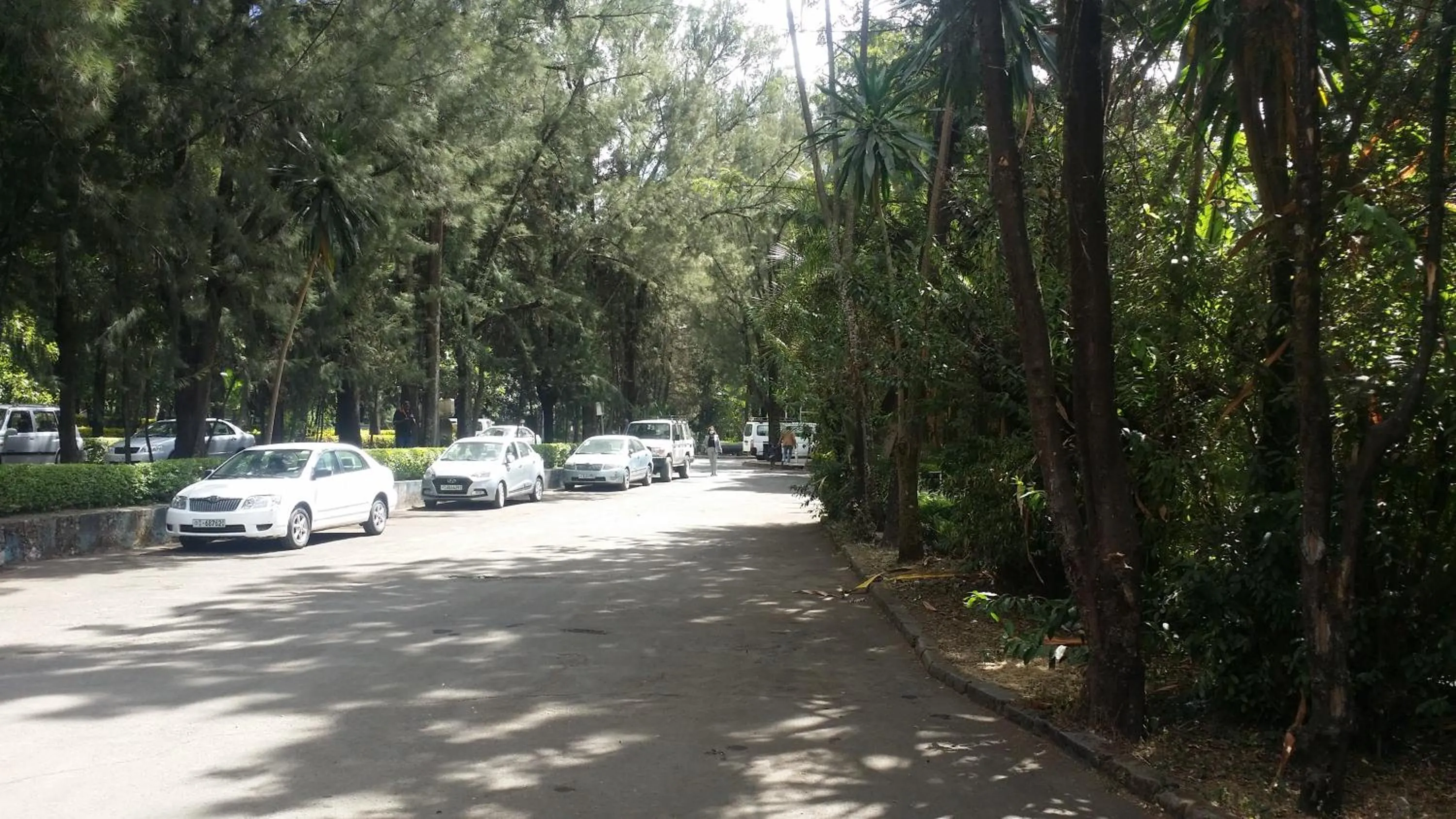 Parking in GHION HOTEL