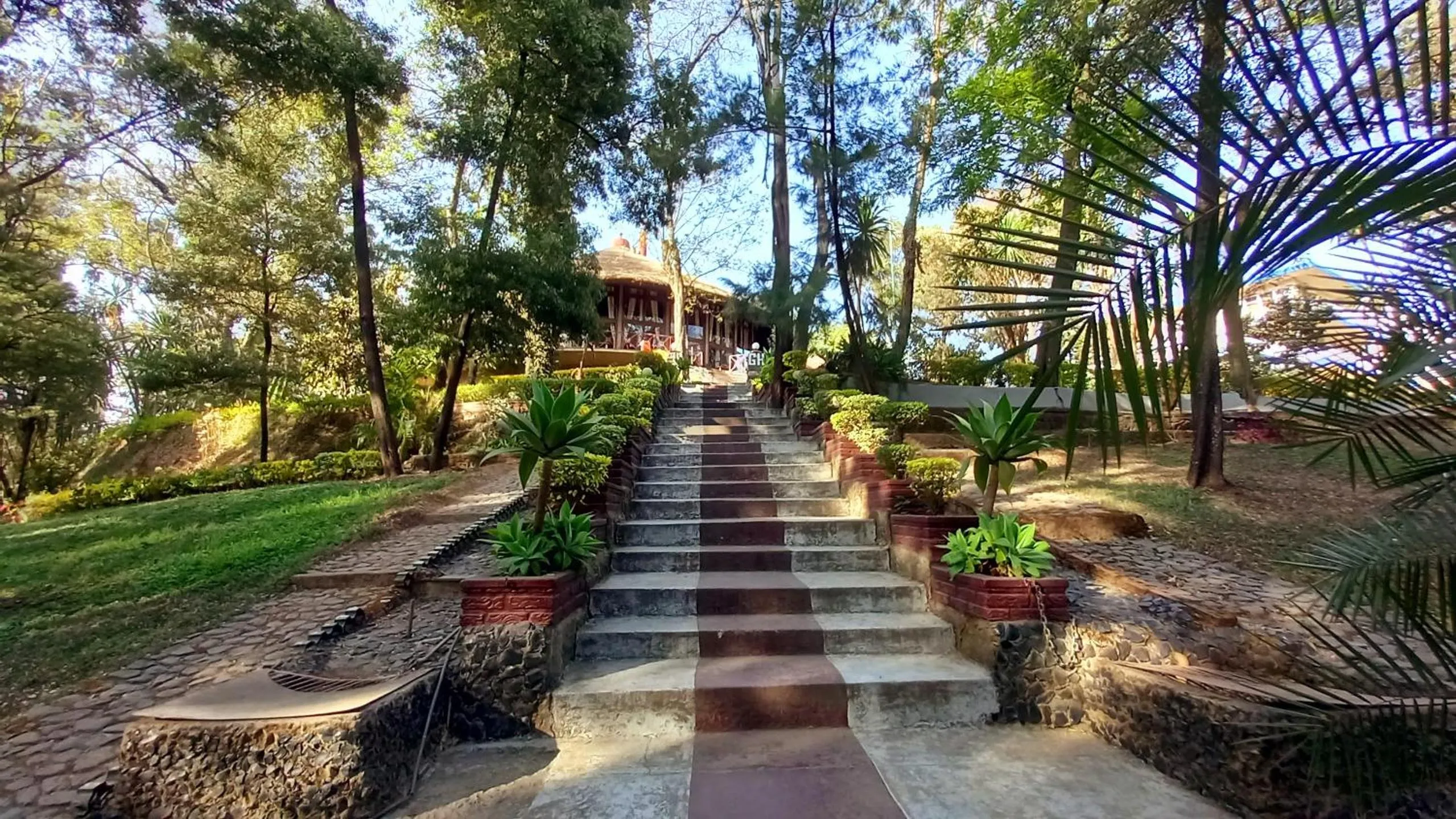 Restaurant/places to eat in GHION HOTEL