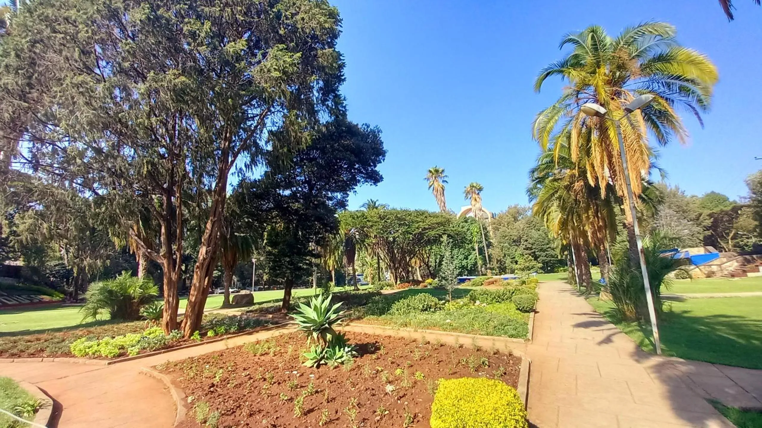 Garden in GHION HOTEL