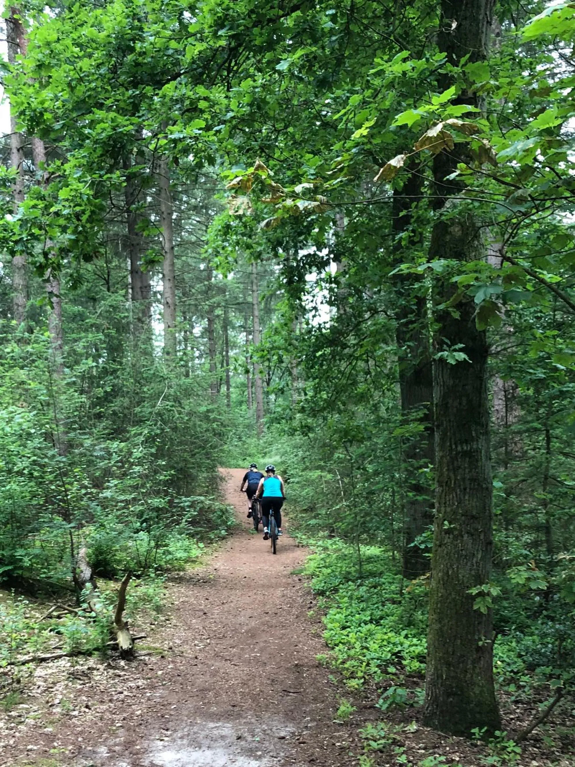 Spring in BnB Mir Lo in Mierlo Adults only