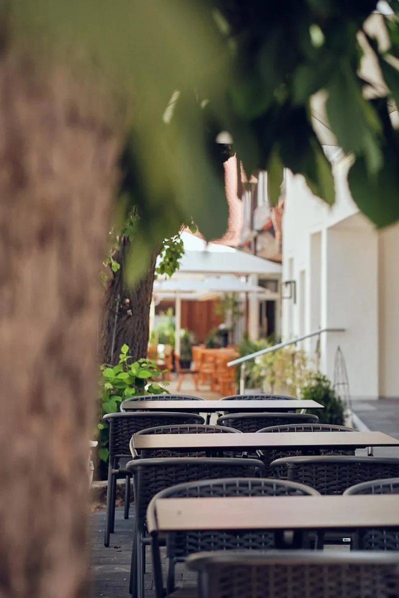 Patio in Landgasthof Hotel Rittmayer