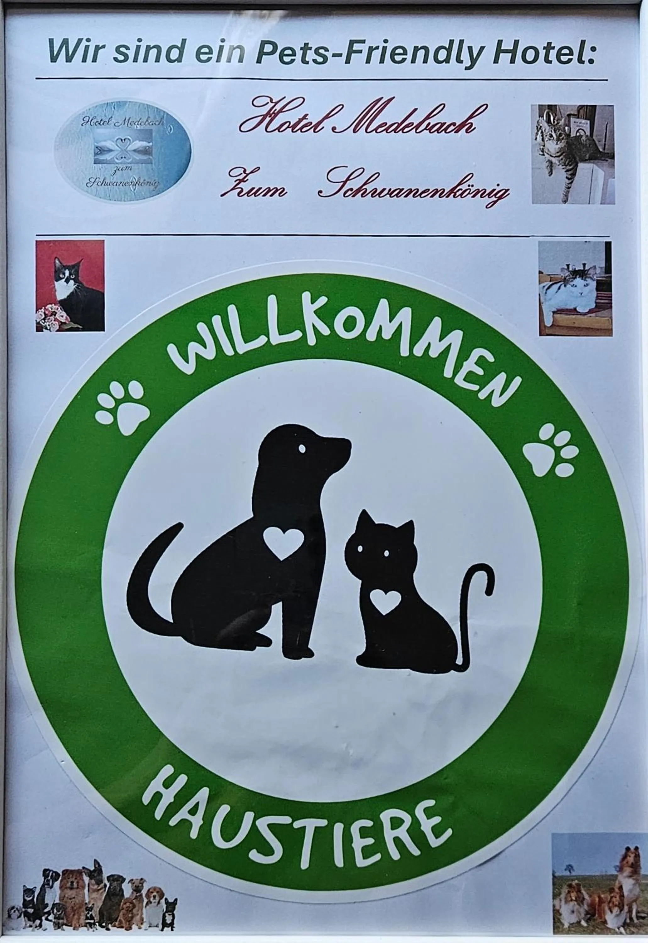 Hotel Medebach - Zum Schwanenkönig