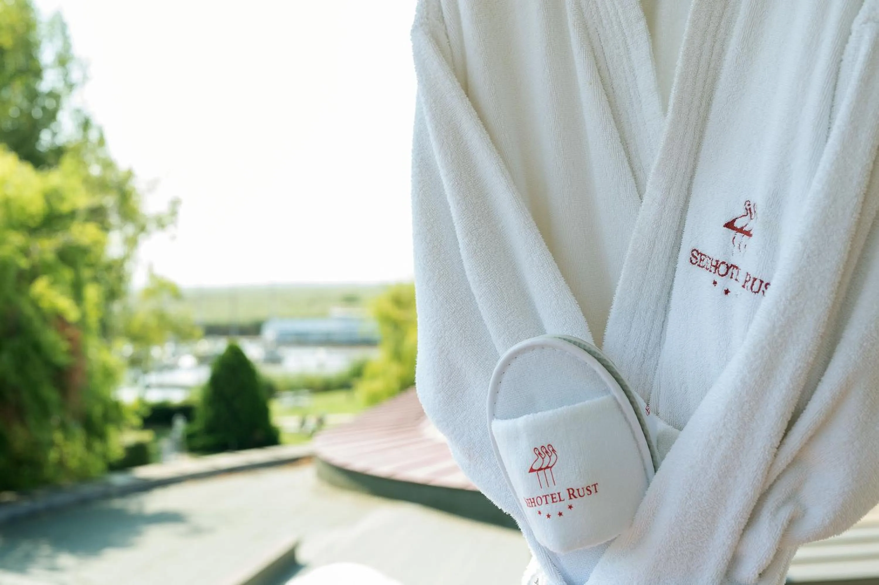 View (from property/room) in Seehotel Rust