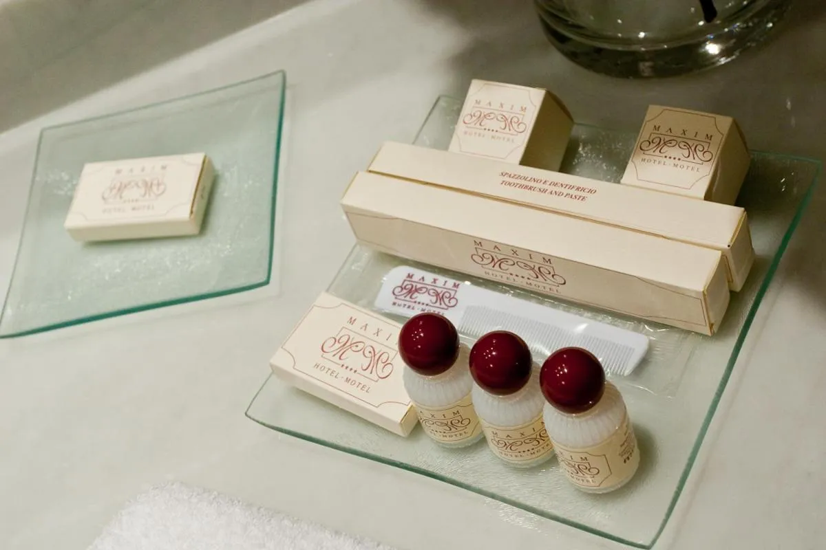 Bathroom in Hotel Maxim