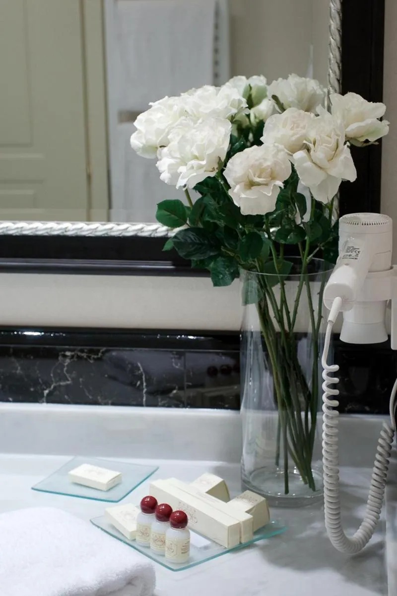 Bathroom in Hotel Maxim