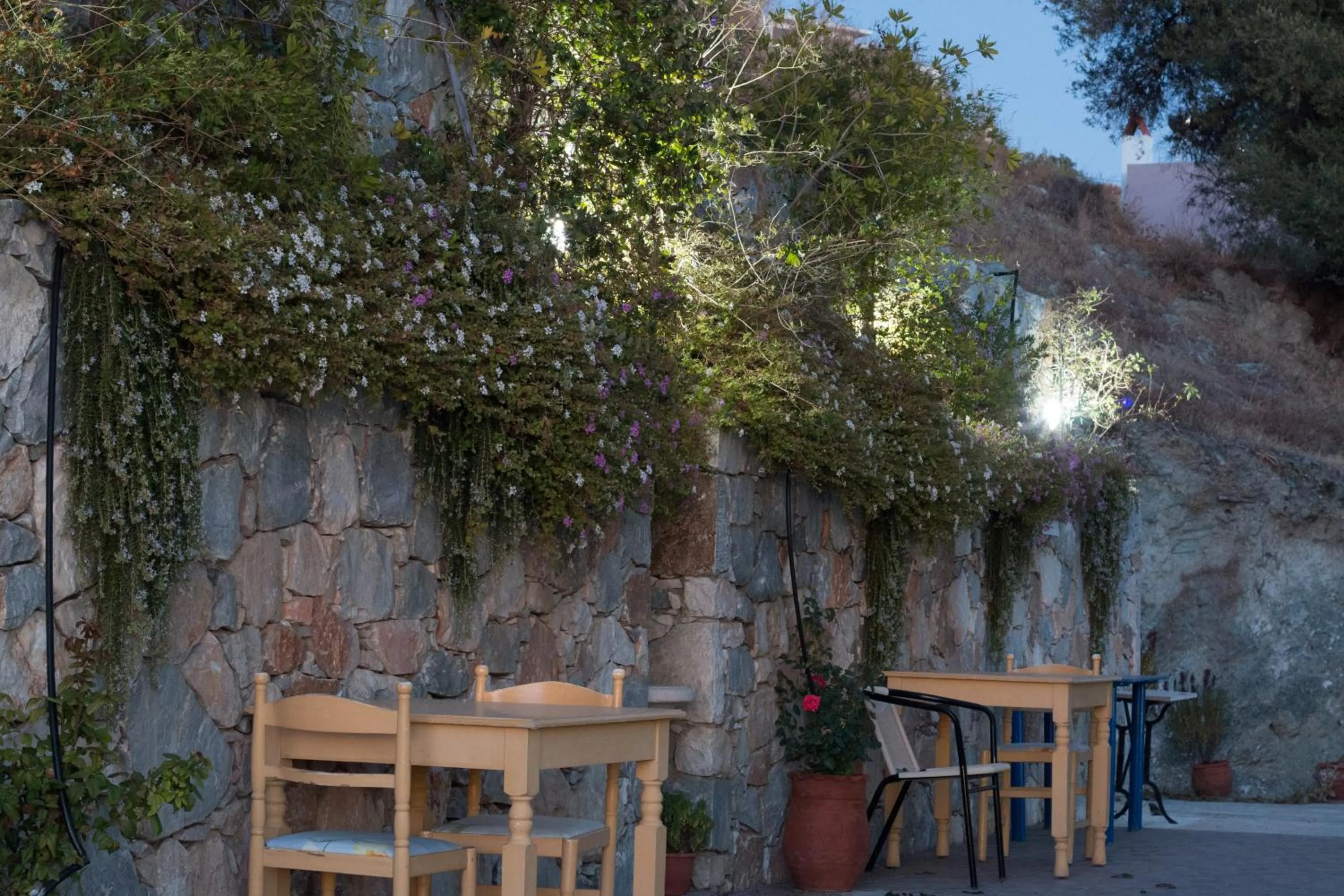 Garden in Paris-Irini Studios And Apartments