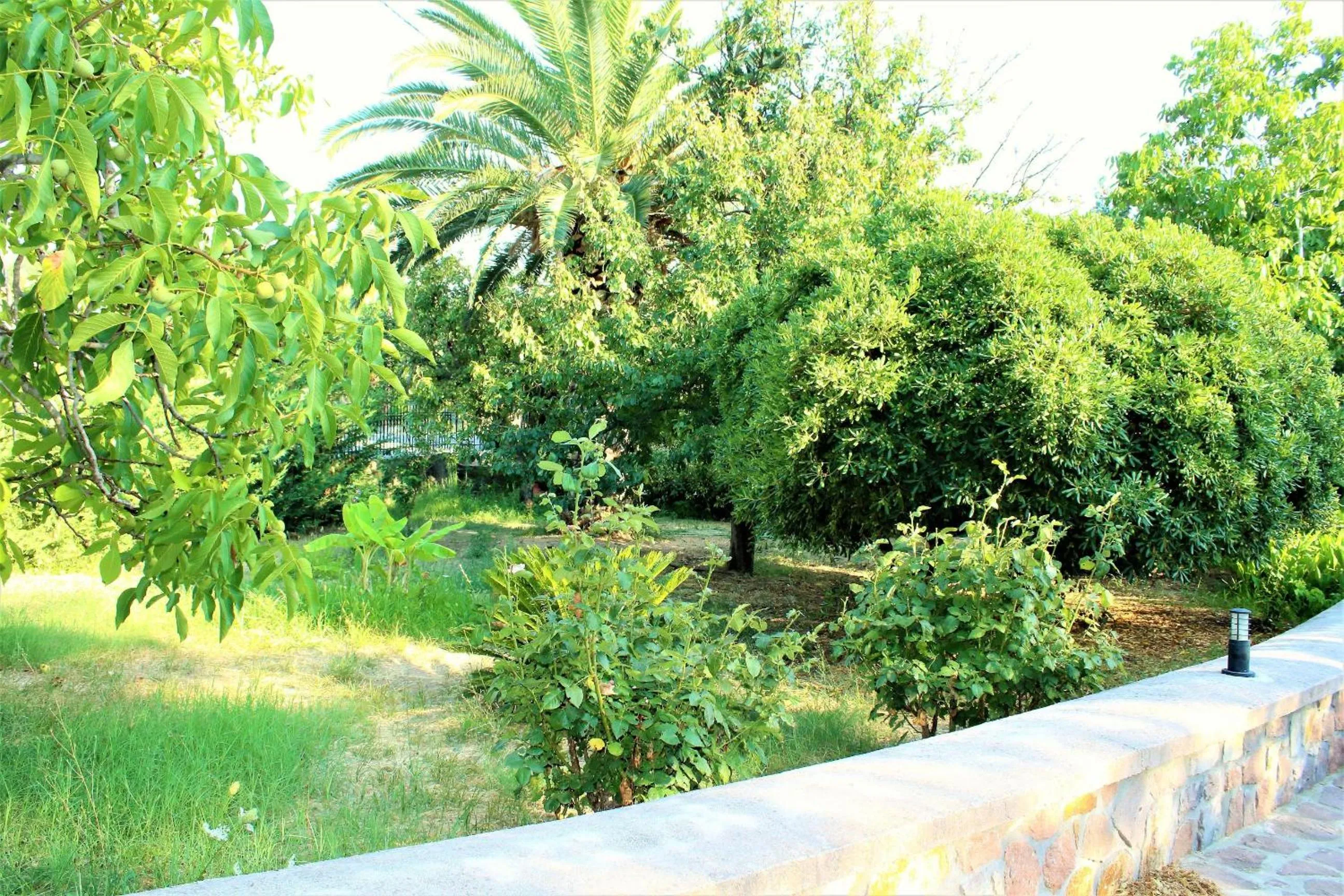 Garden in Nadia Apartments