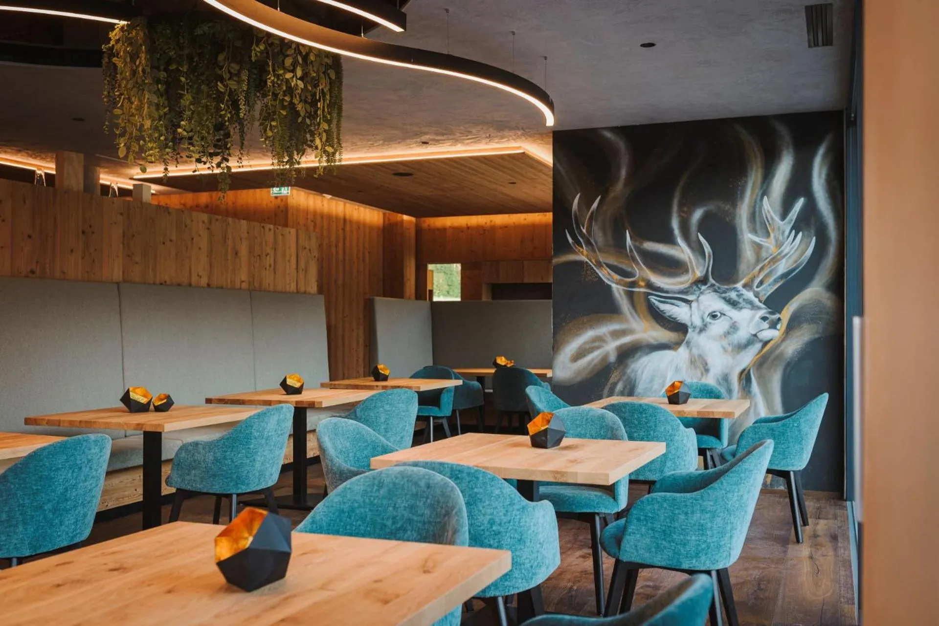 Restaurant/places to eat in Hotel Acherl