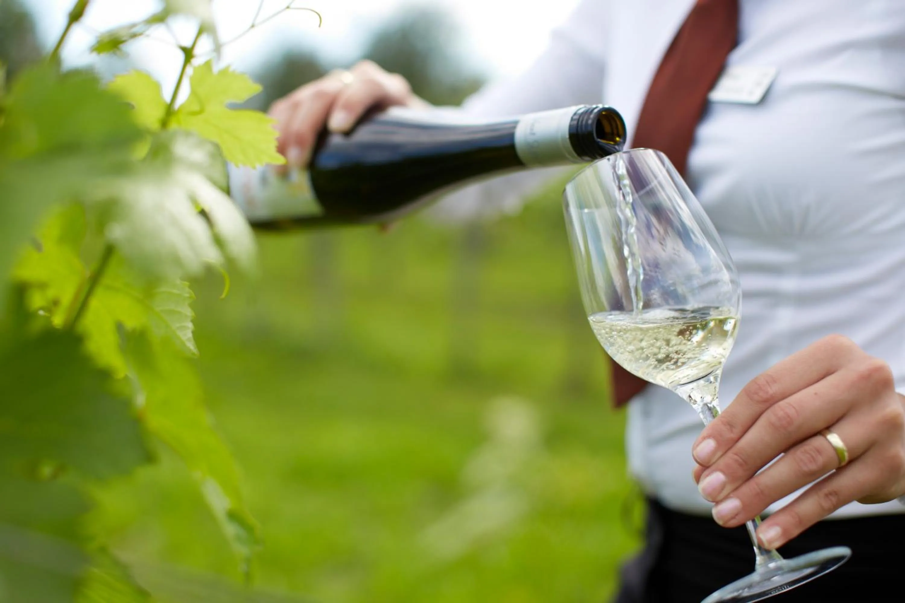 Drinks in LOISIUM Wine & Spa Hotel Langenlois