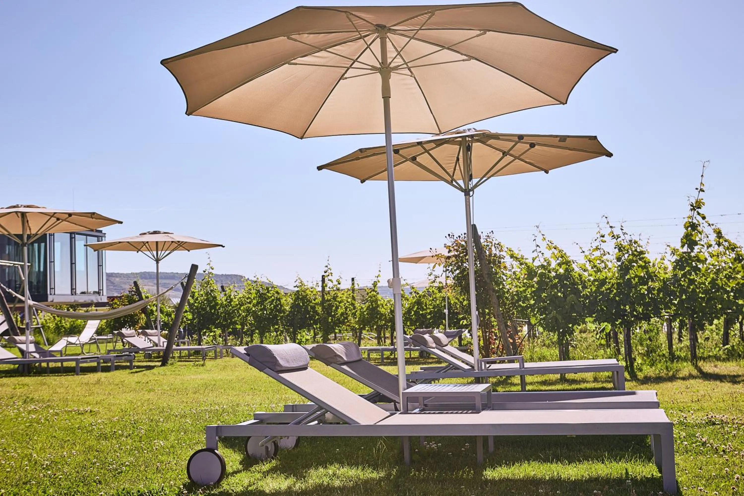 Garden in LOISIUM Wine & Spa Hotel Langenlois