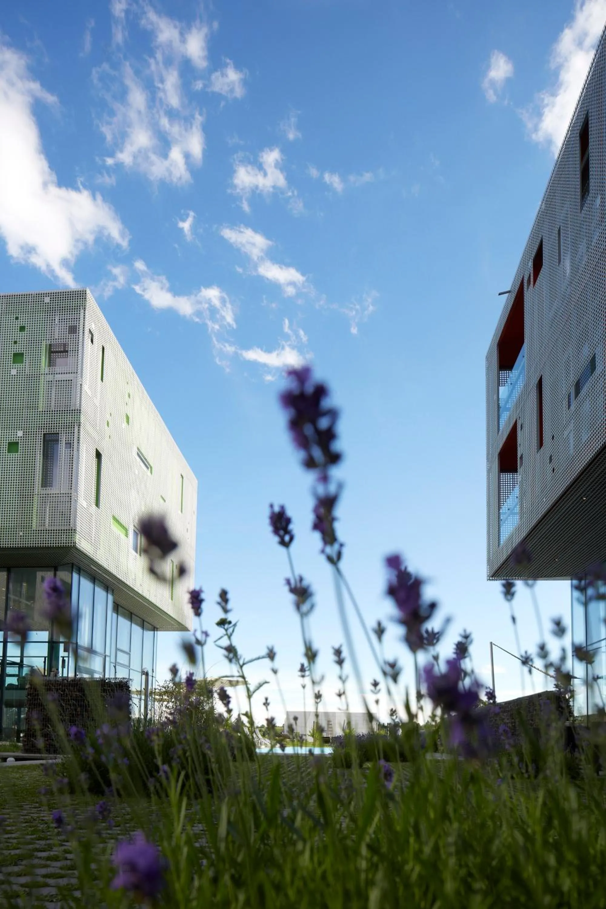 Facade/entrance in LOISIUM Wine & Spa Hotel Langenlois