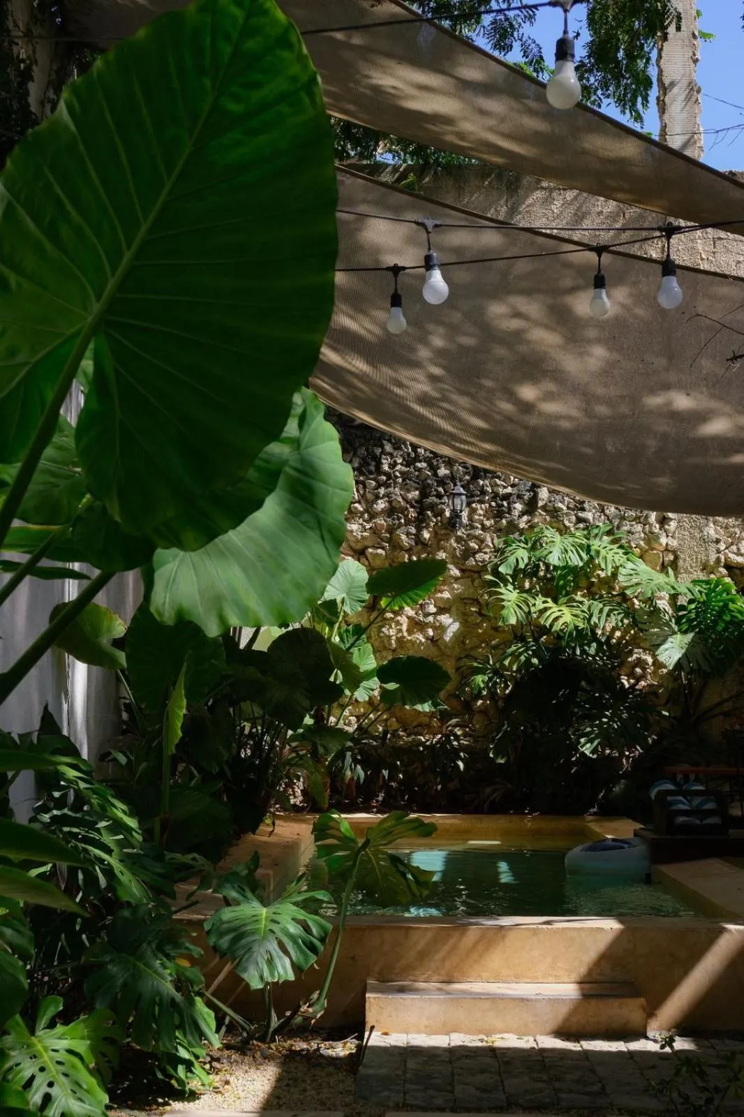 Hotel & Hostal Boutique Casa Garza