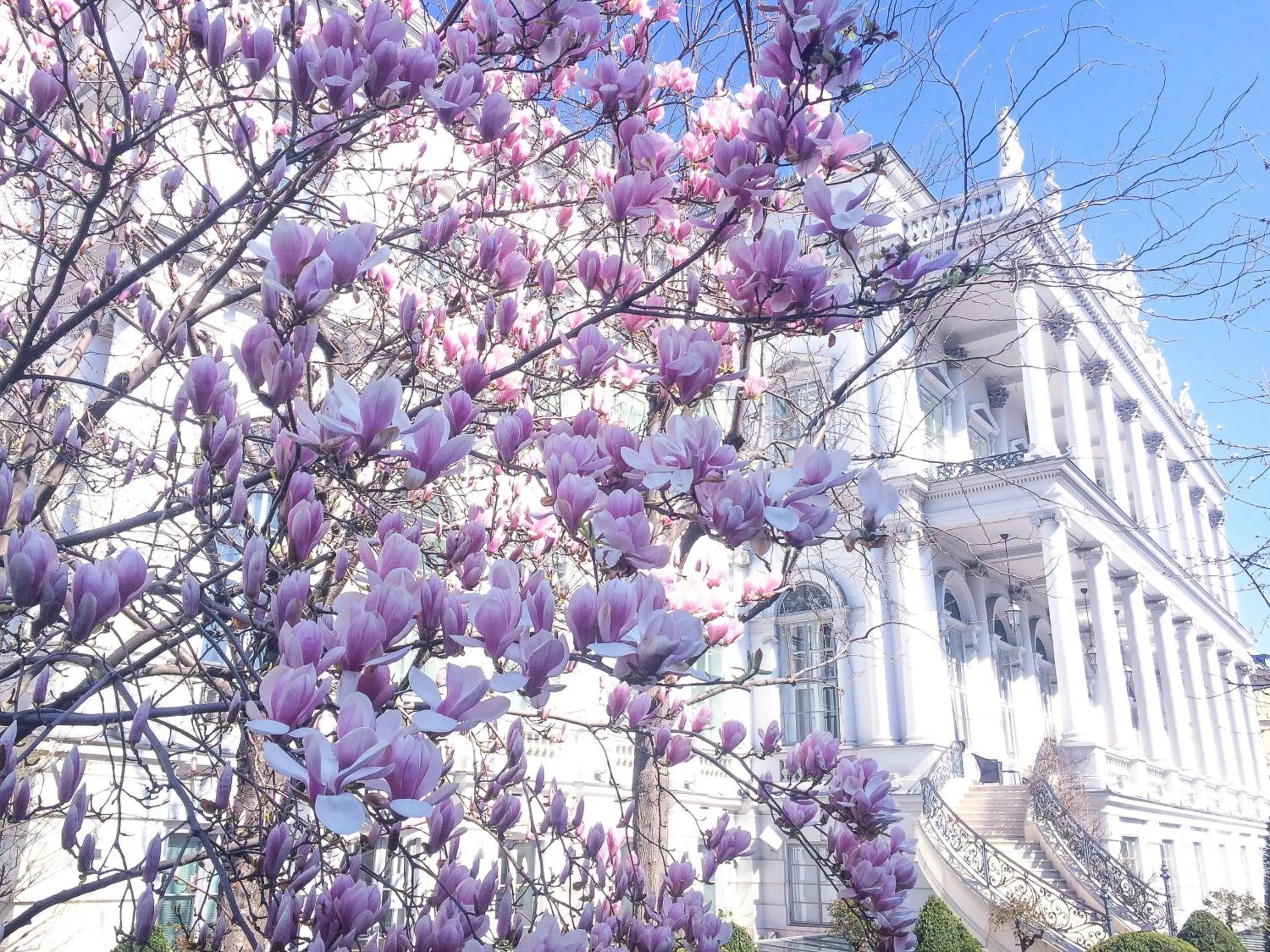Facade/entrance in Palais Coburg