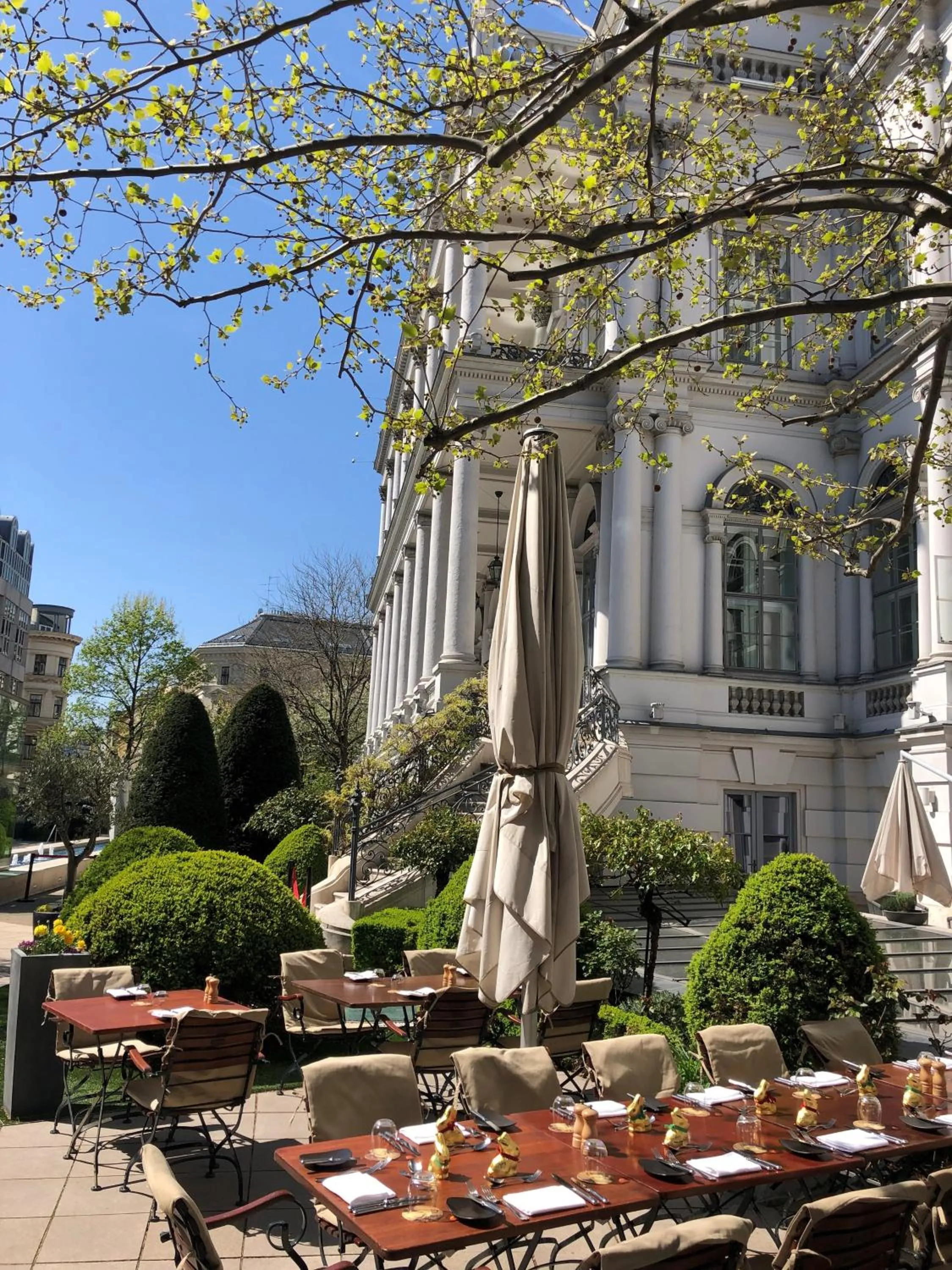 Garden in Palais Coburg