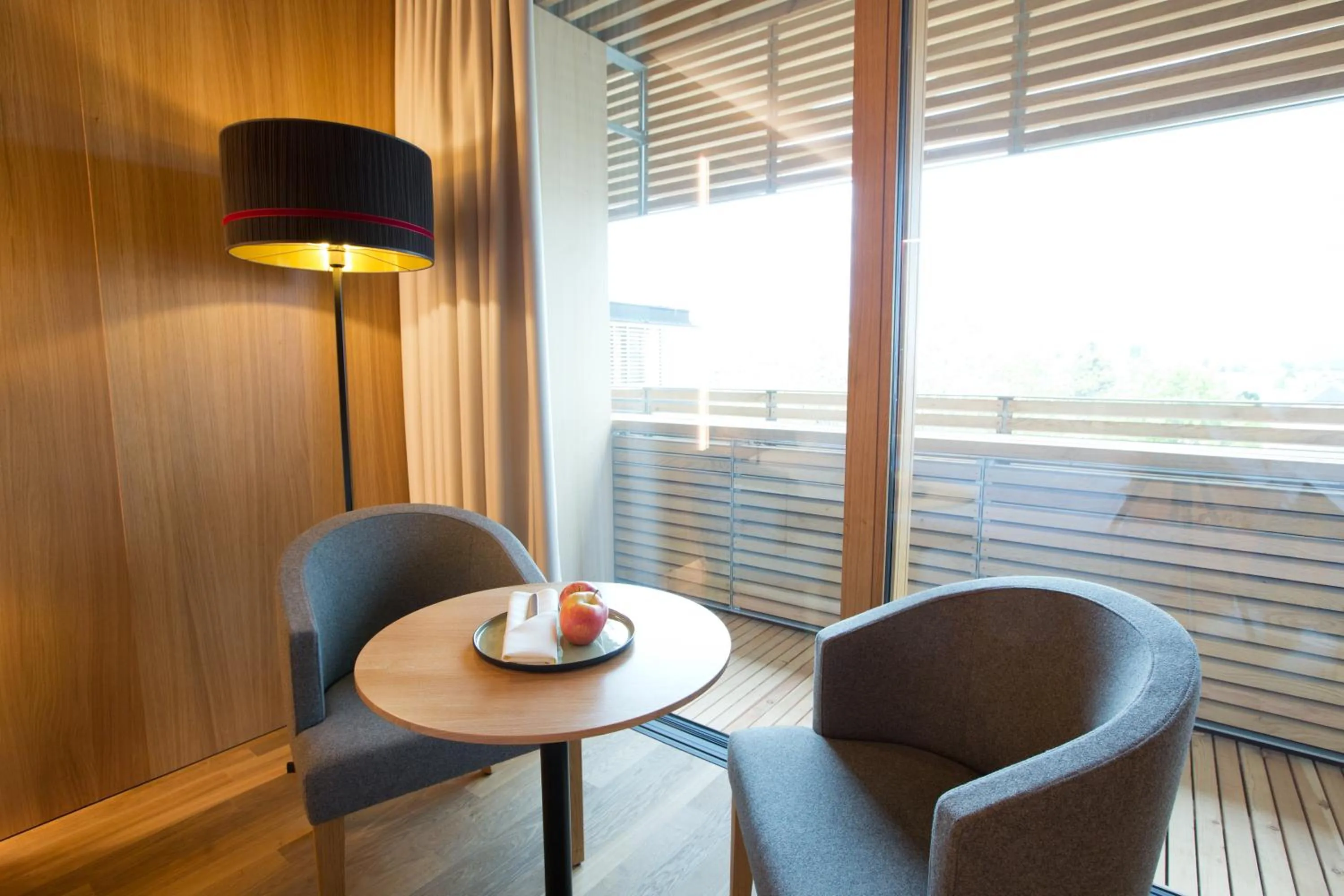 Balcony/Terrace in Hotel Schwärzler