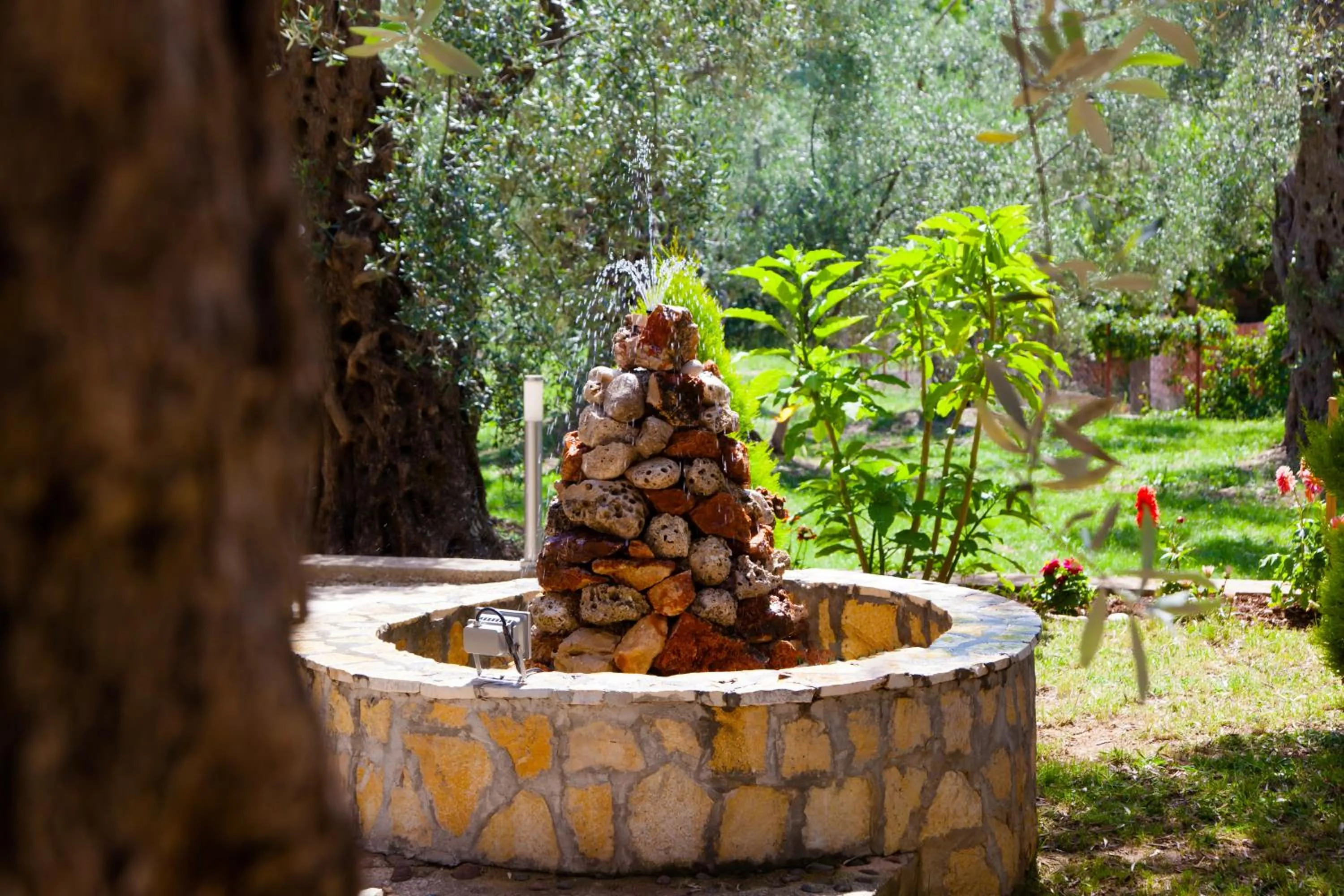 Day in President Bungalows and Apartments