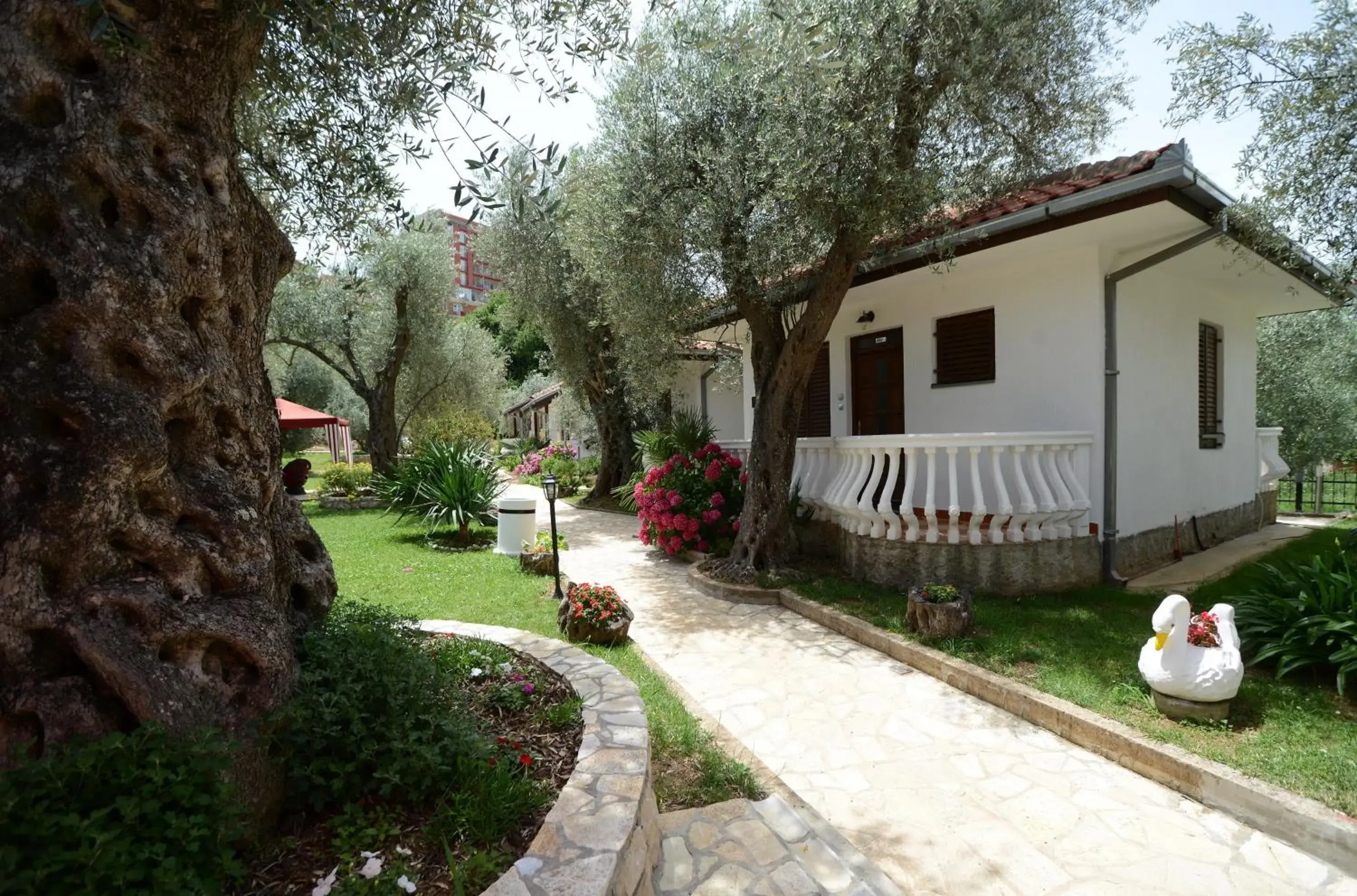 Two-Bedroom Bungalow with Terrace in President Bungalows and Apartments Two-Bedroom Bungalow with Terrace in President Bungalows and Apartments