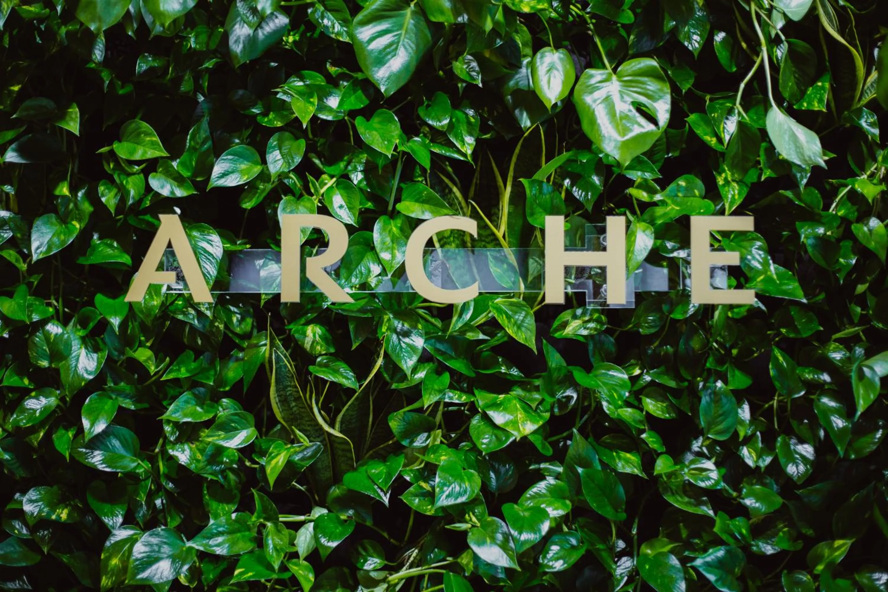 Logo/Certificate/Sign in Arche Hotel Piła